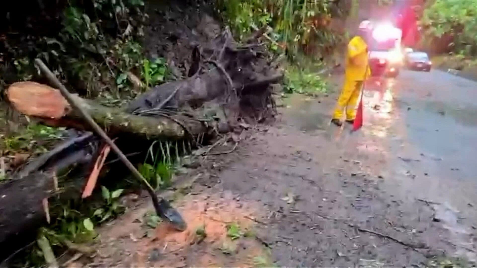Deslave en la Carretera Federal Fortín-Cuautlapan Deja Lesionados, Veracruz