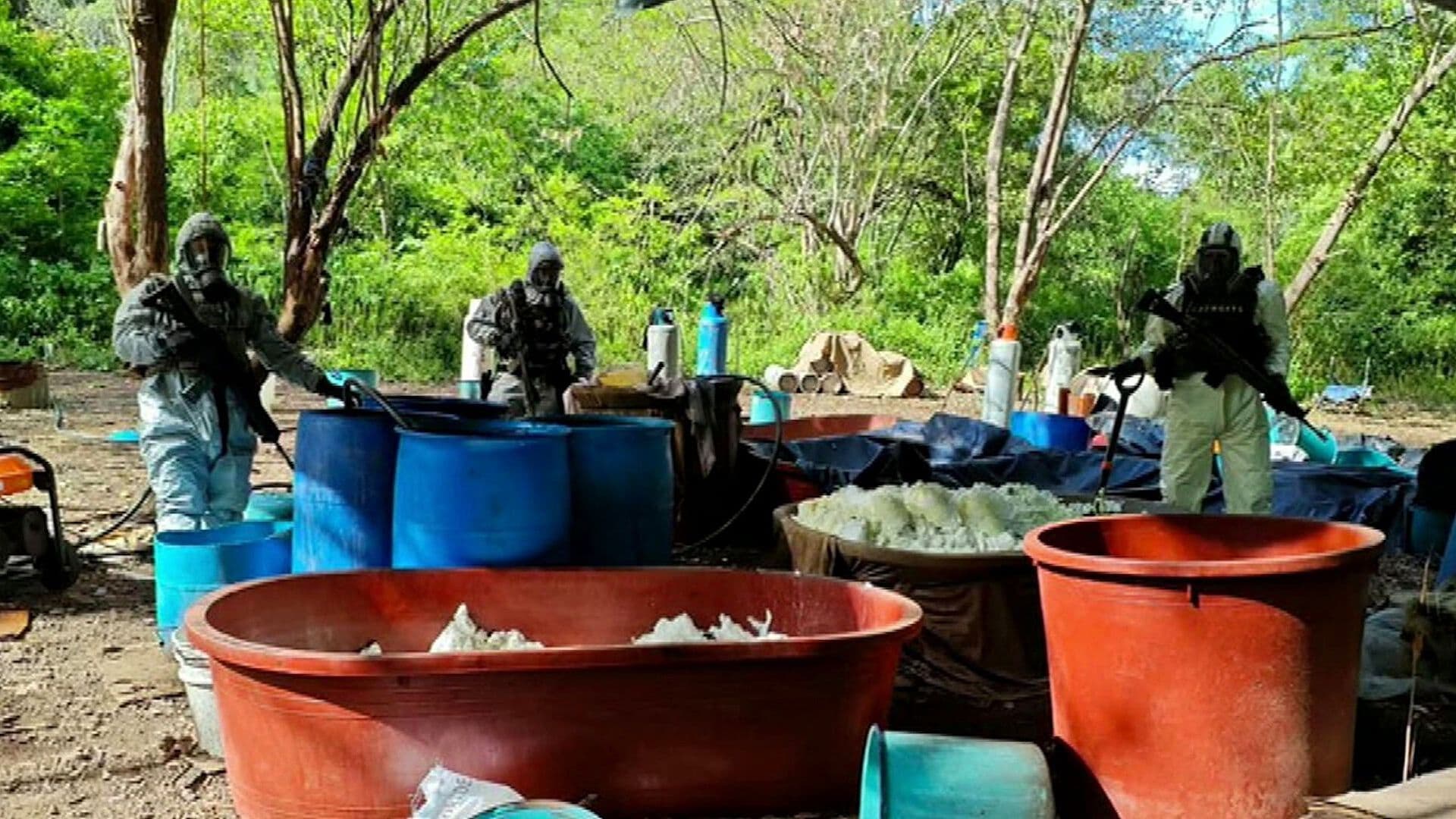 Desmantelan Cuatro Laboratorios Clandestinos de Drogas en Michoacán y Guerrero