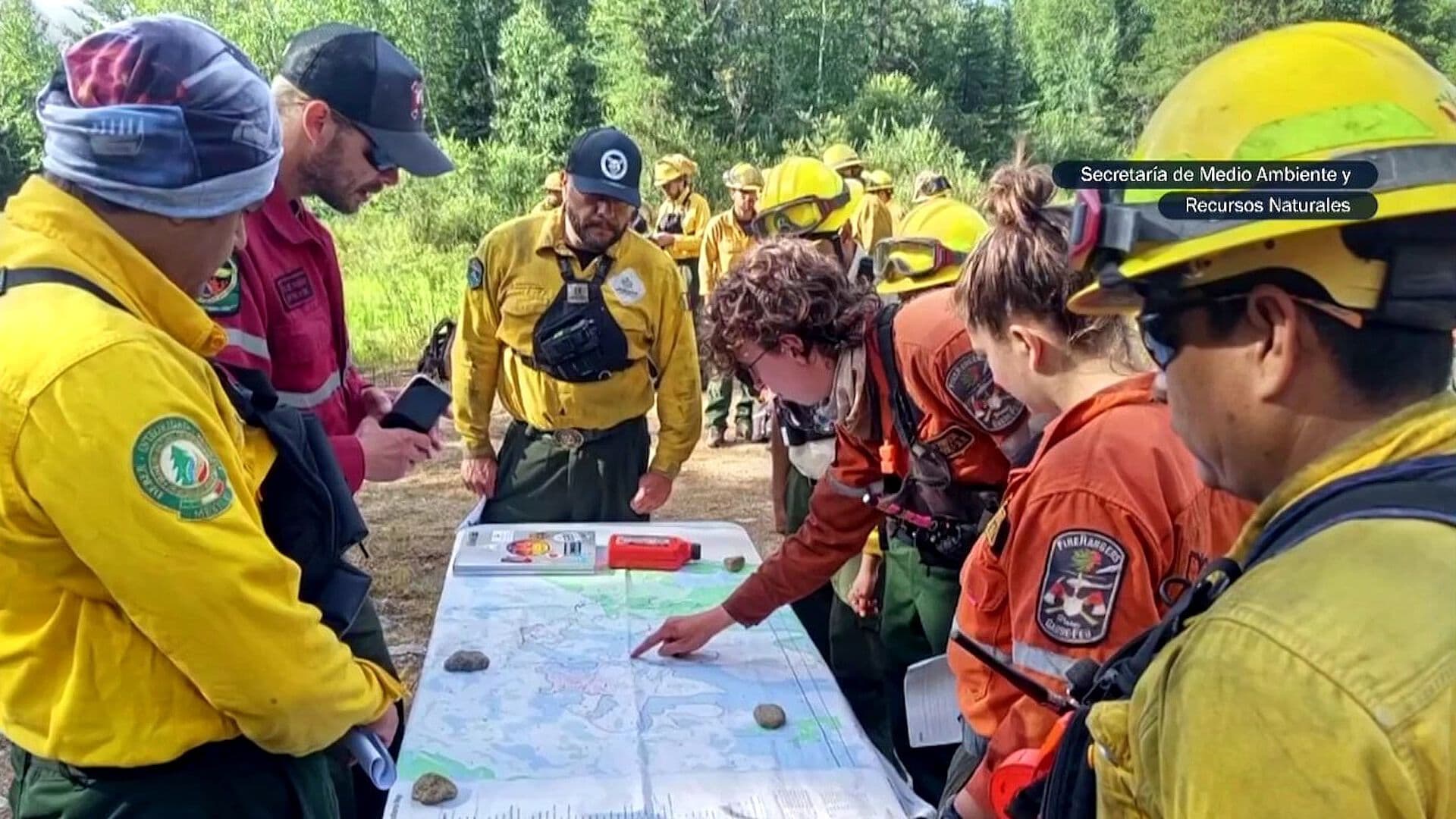 Brigadistas de Conafor Relatan Cómo Combatieron Incendios Forestales en Canadá