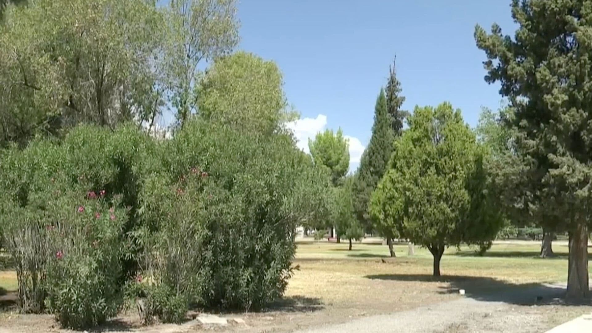 Lluvias Mejoran la Calidad del Aire en Ciudad Juárez, Chihuahua