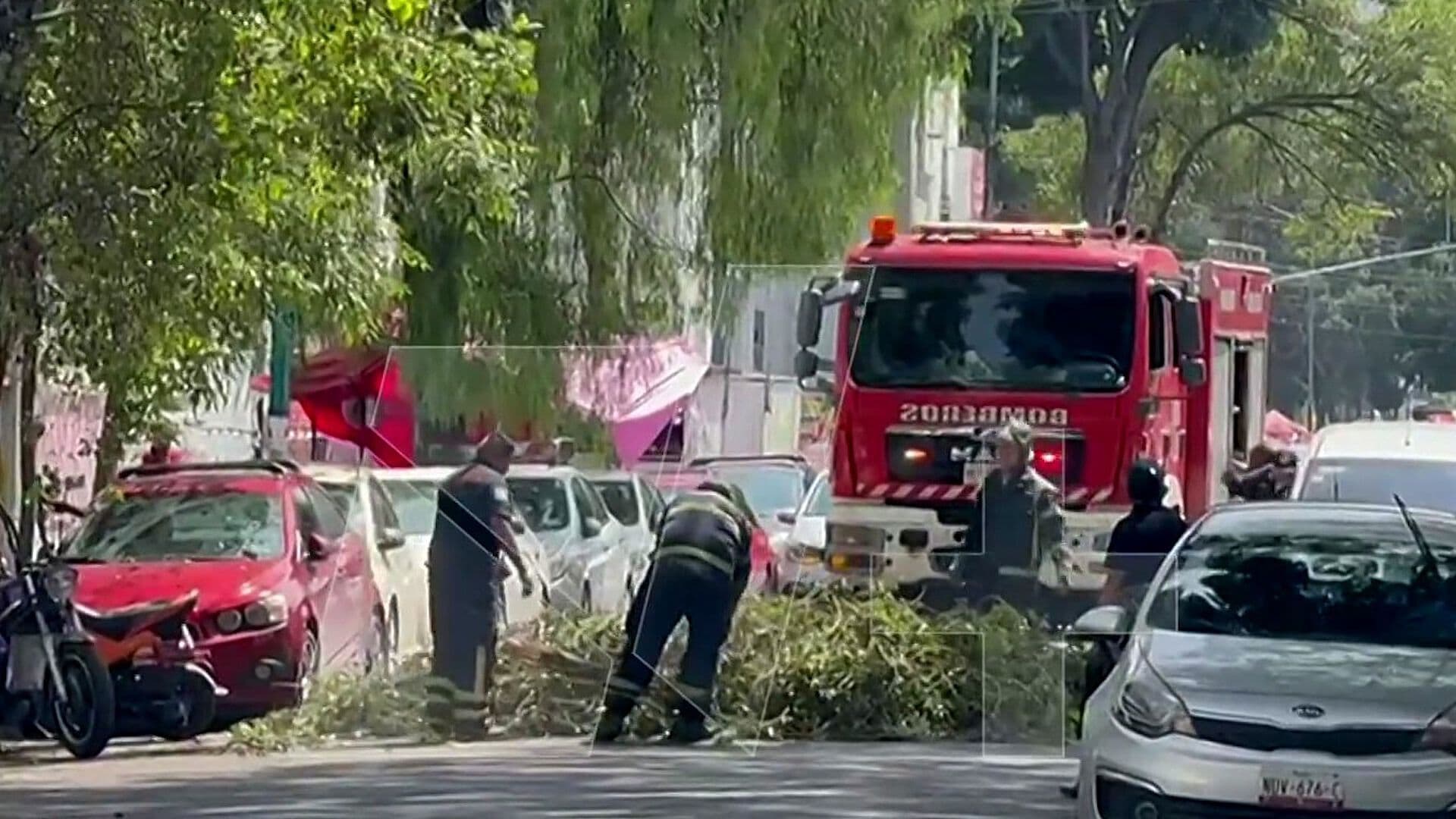 Caen Ramas de Árbol en Manuel Tolsá y Tres Guerras, en Cuauhtémoc, CDMX
