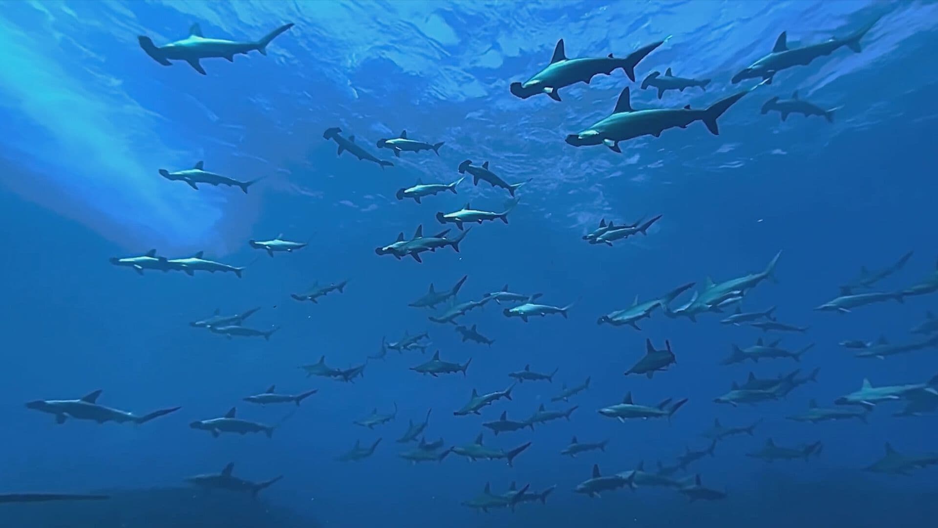 La Pared Azul