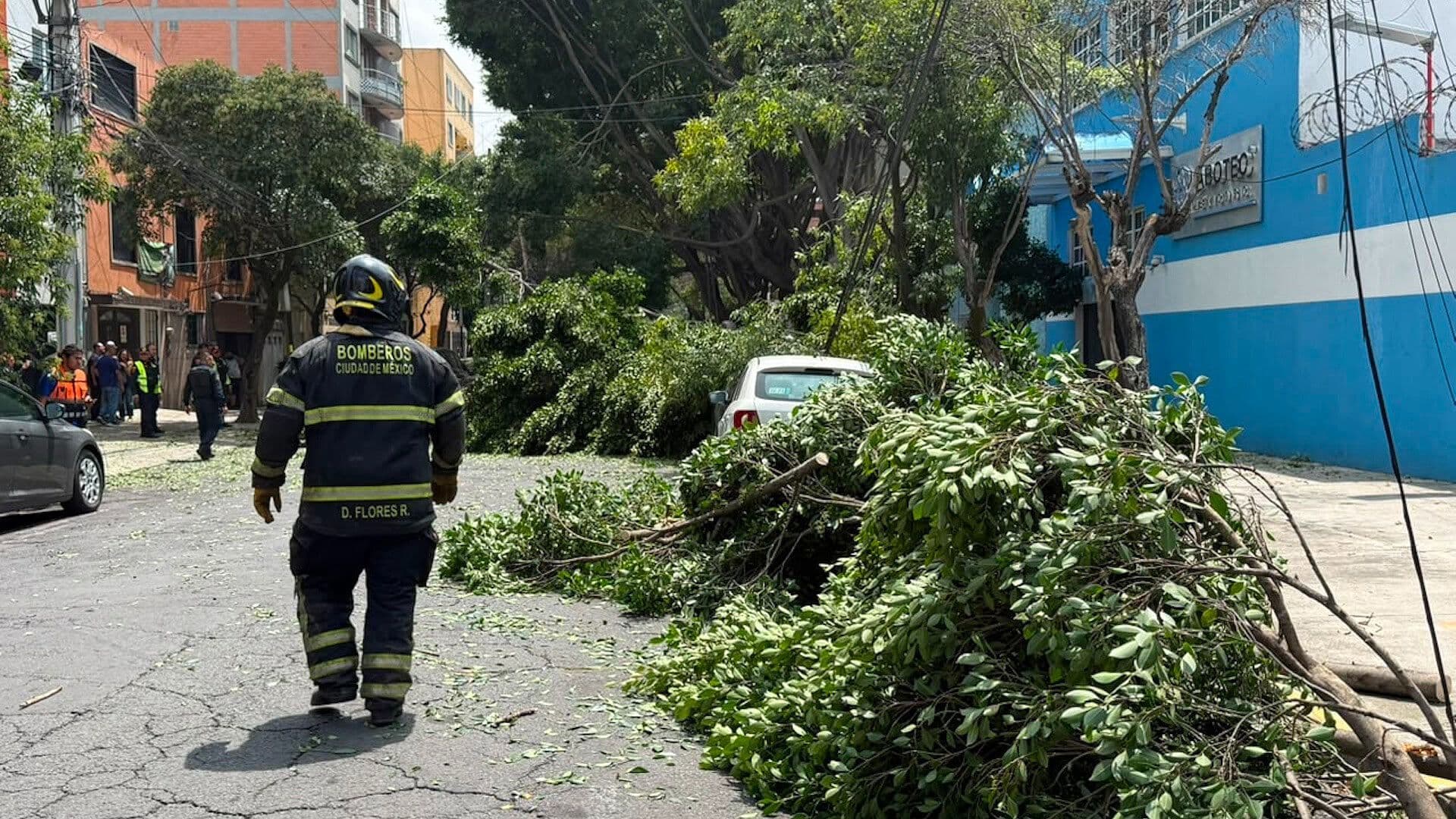Caen Ramas sobre Vehículos y Cableado en la Colonia Álamos, CDMX