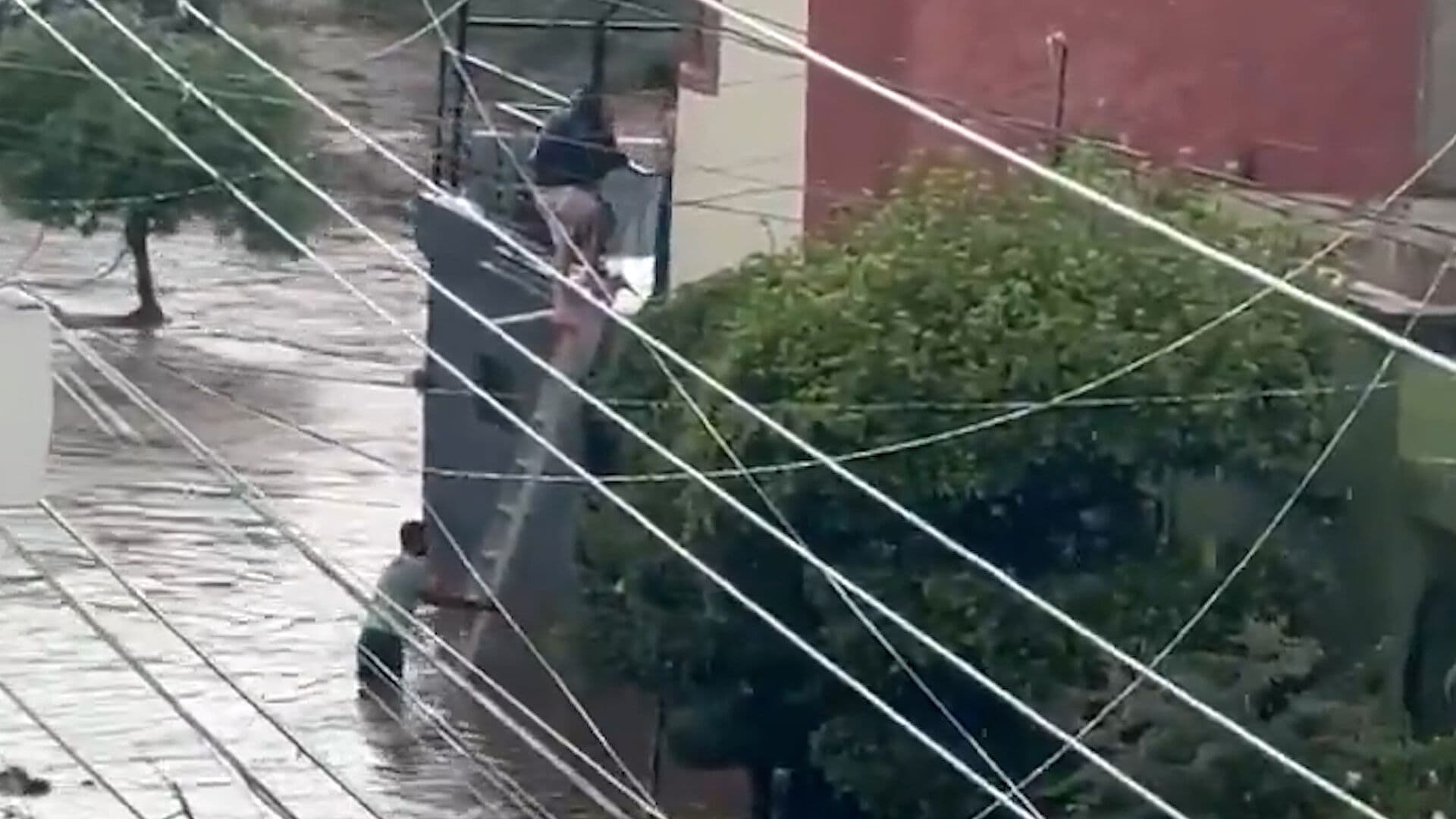 Fuertes Lluvias Provocan Inundaciones en Jalisco