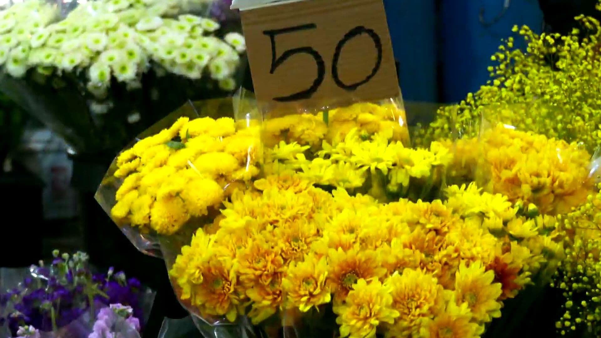 De las Redes a las Calles: Flores Amarillas Pintan el Mercado de Jamaica