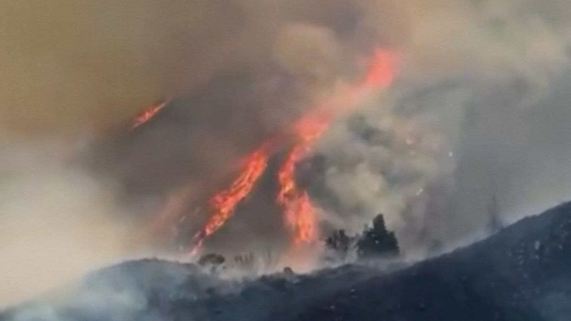 100 Hectareas Afectadas tras Incendio Forestal en Colombia