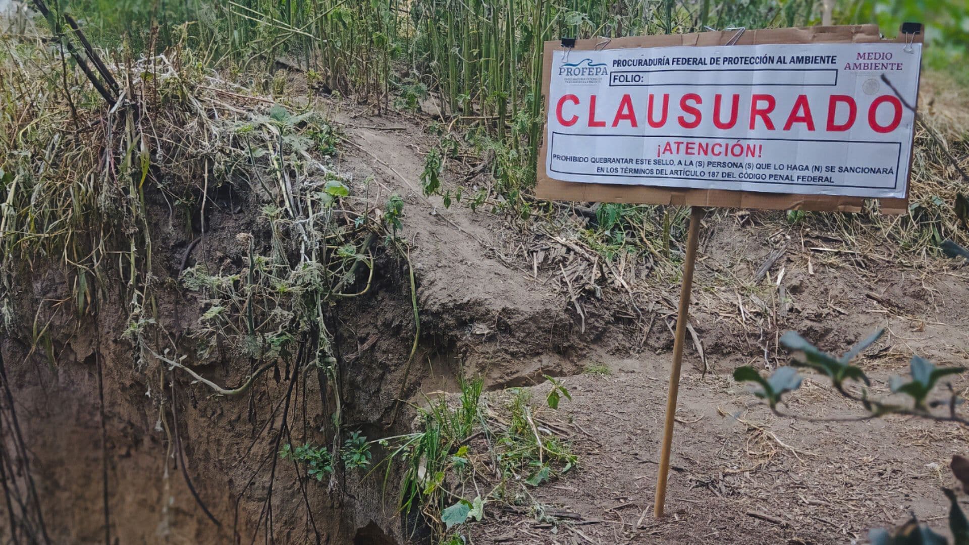 Profepa Clausura Cuatro Puntos Descarga Aguas Residuales Río Atoyac Puebla
