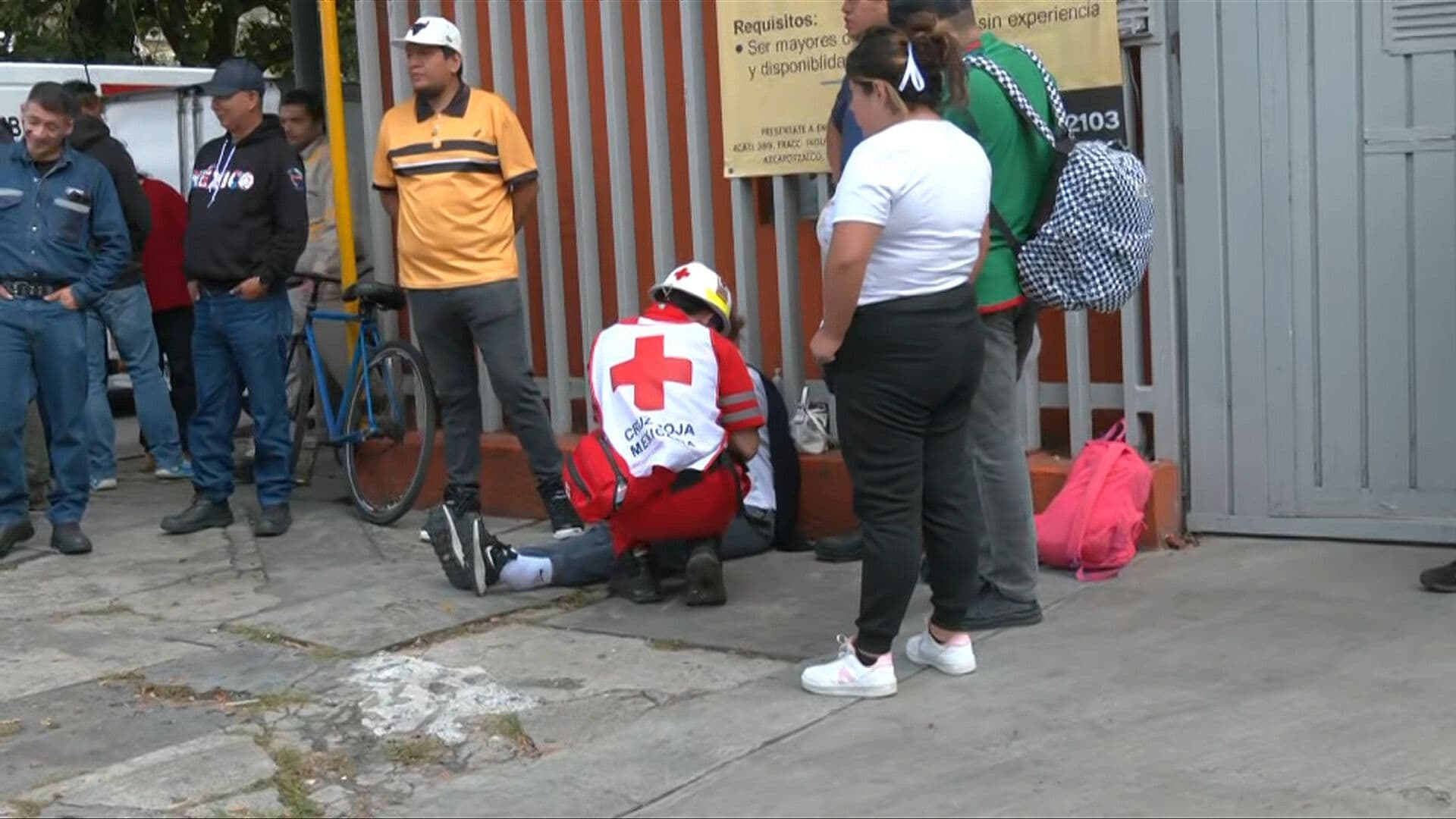 Caída de Árbol deja Tres Lesionados en Panteón Santa Lucía en Azcapotzalco