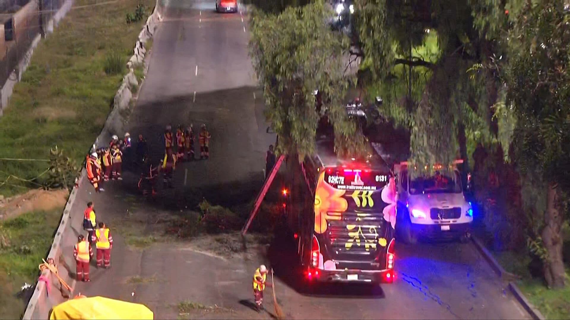 Cronología: Cae Árbol sobre Autobús de Pasajeros en Calzada Zaragoza