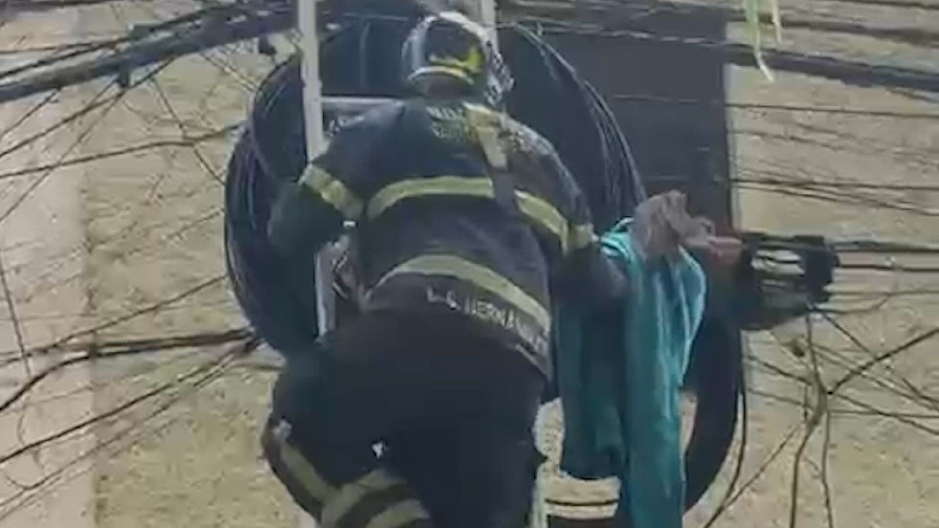 Rescatan Águila en Cableado de Azcapotzalco