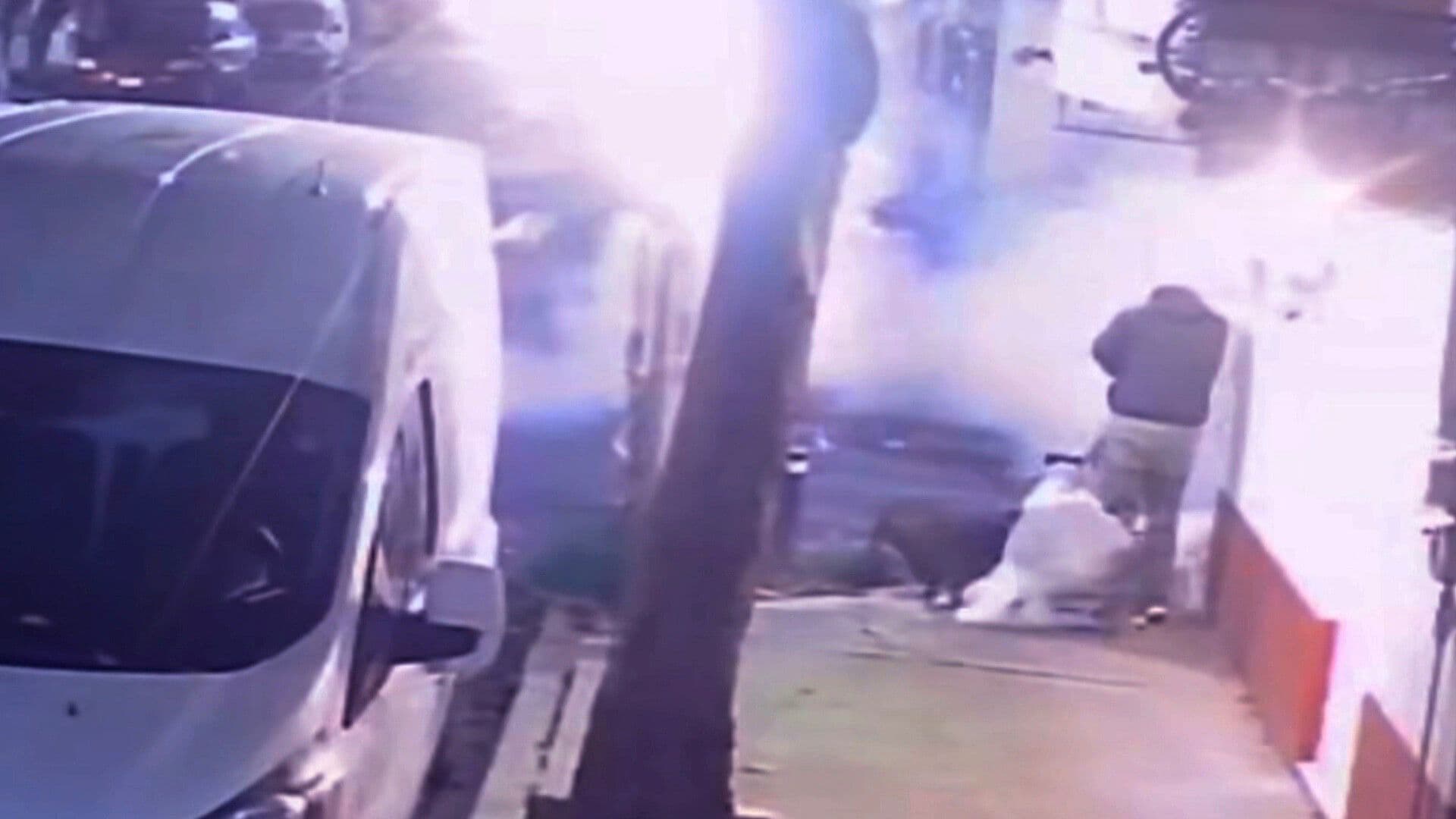 Video: Agreden con Pirotecnia a Joven Paseador de Perros en la Colonia San Simón