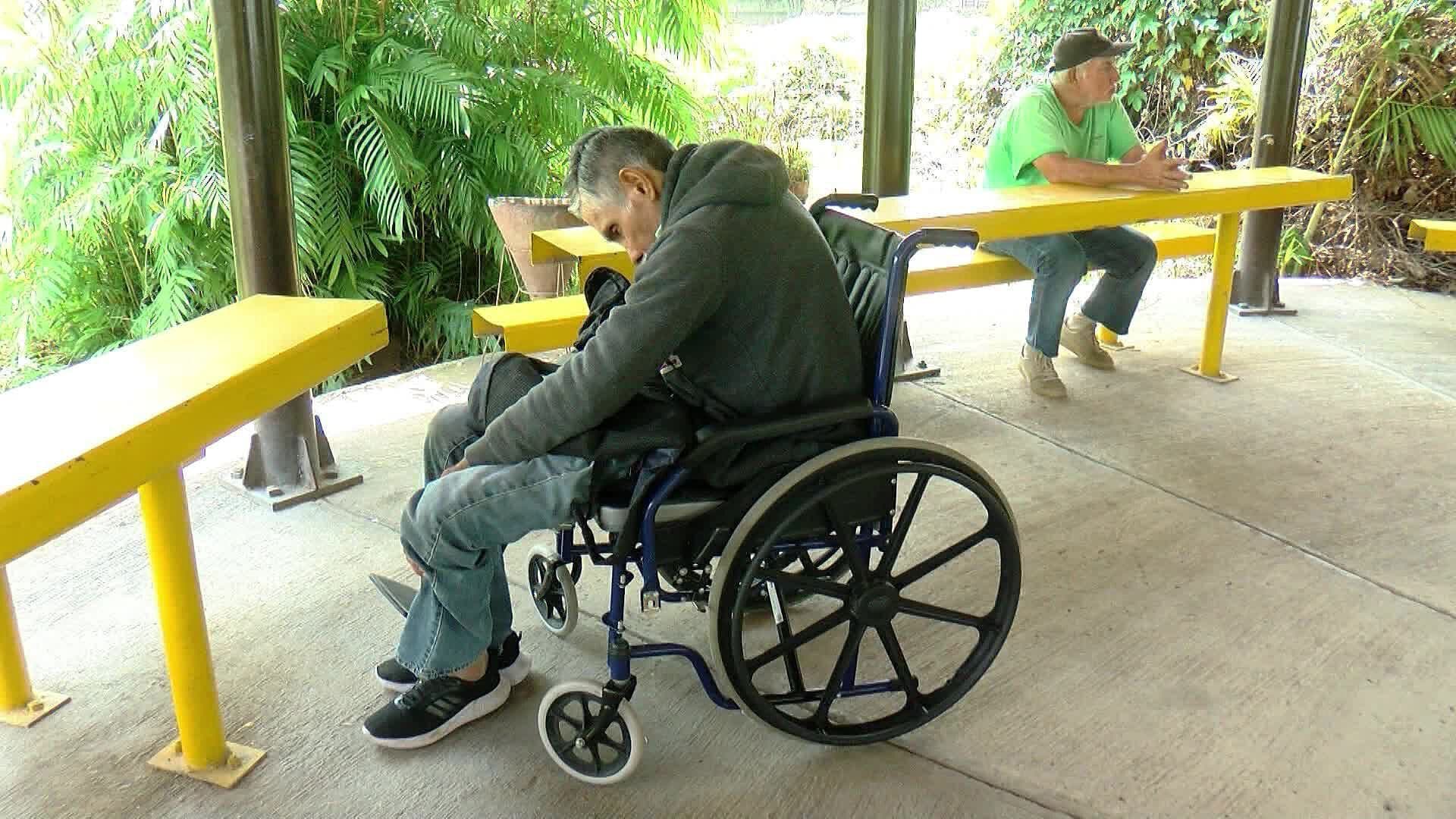 Mutación Jalisco Dispara Alzheimer en Familias de Los Altos Jalisco