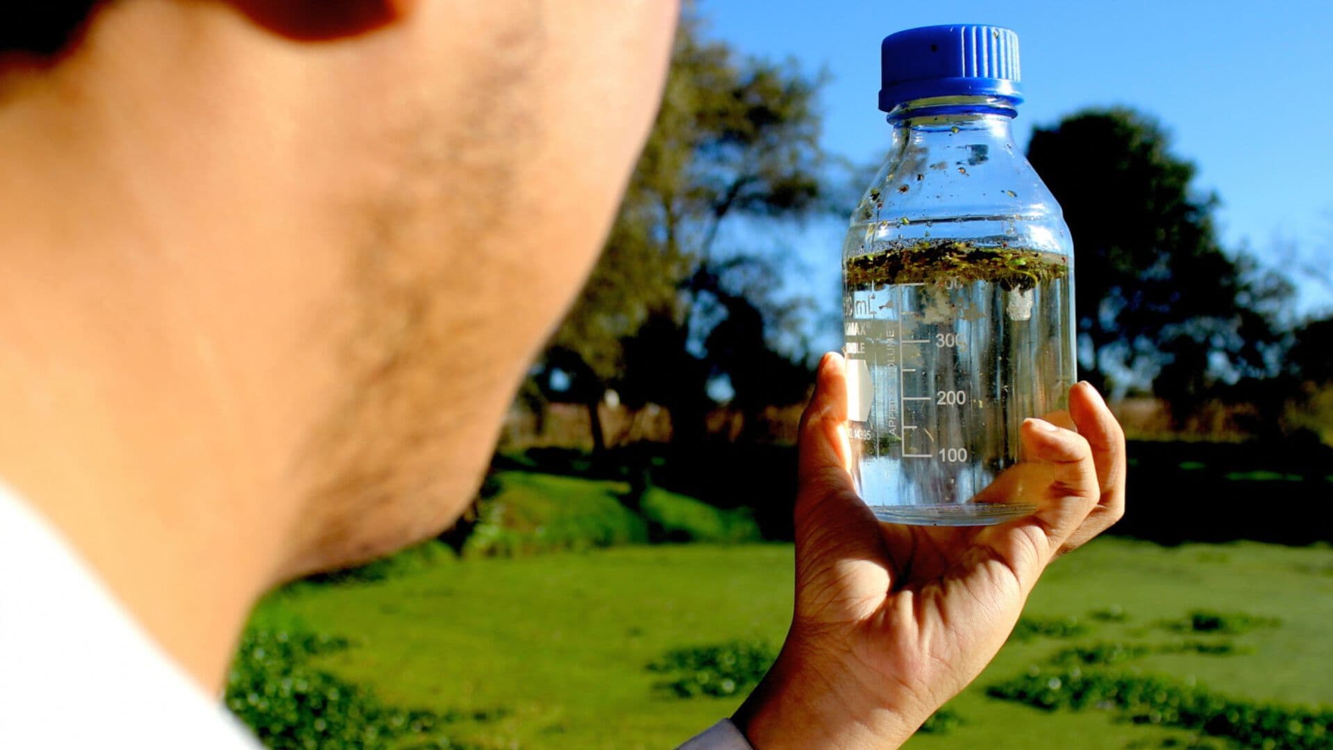 José Luis Ortiz Robles Estudiante BUAP Lombrifiltro Sistema Saneamiento Agua Contaminantes