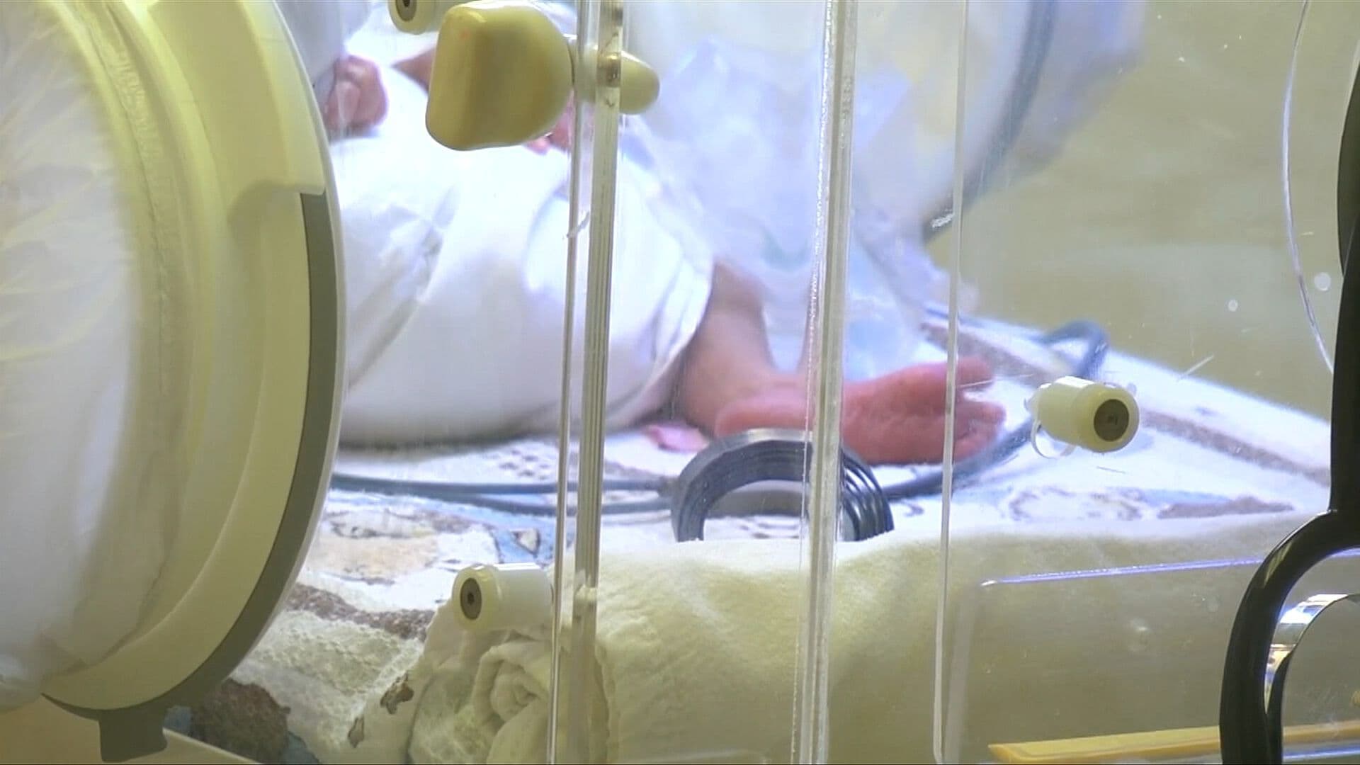 Investigan Causas de Muerte de Recién Nacidos en Hospital de Durango