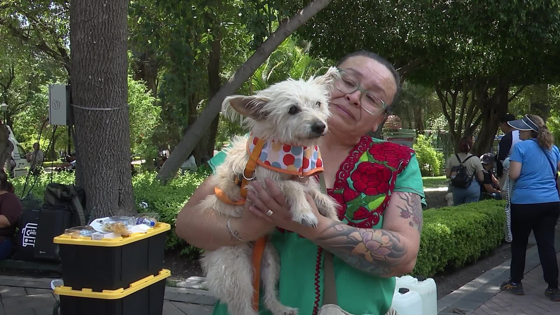 Entregan Primeros 500 Tags de Geolocalización para Perros y Gatos en Querétaro