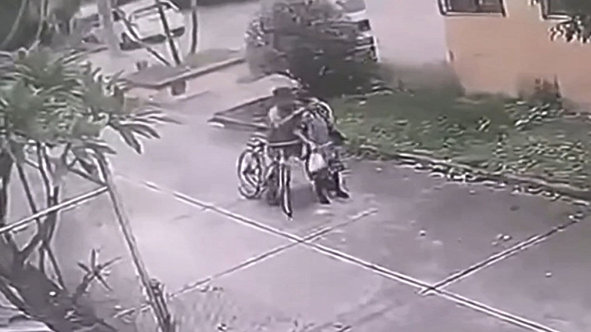 Video | Captan Violento Asalto a Adulta Mayor en Tlaquepaque, Jalisco