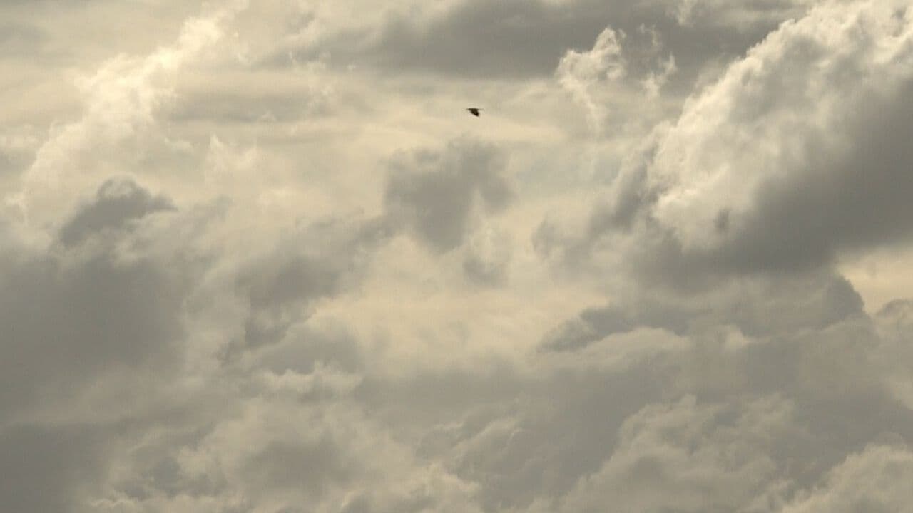 Huracán Polo Podría Generar Lluvias Puntuales en Sonora Este Fin de Semana