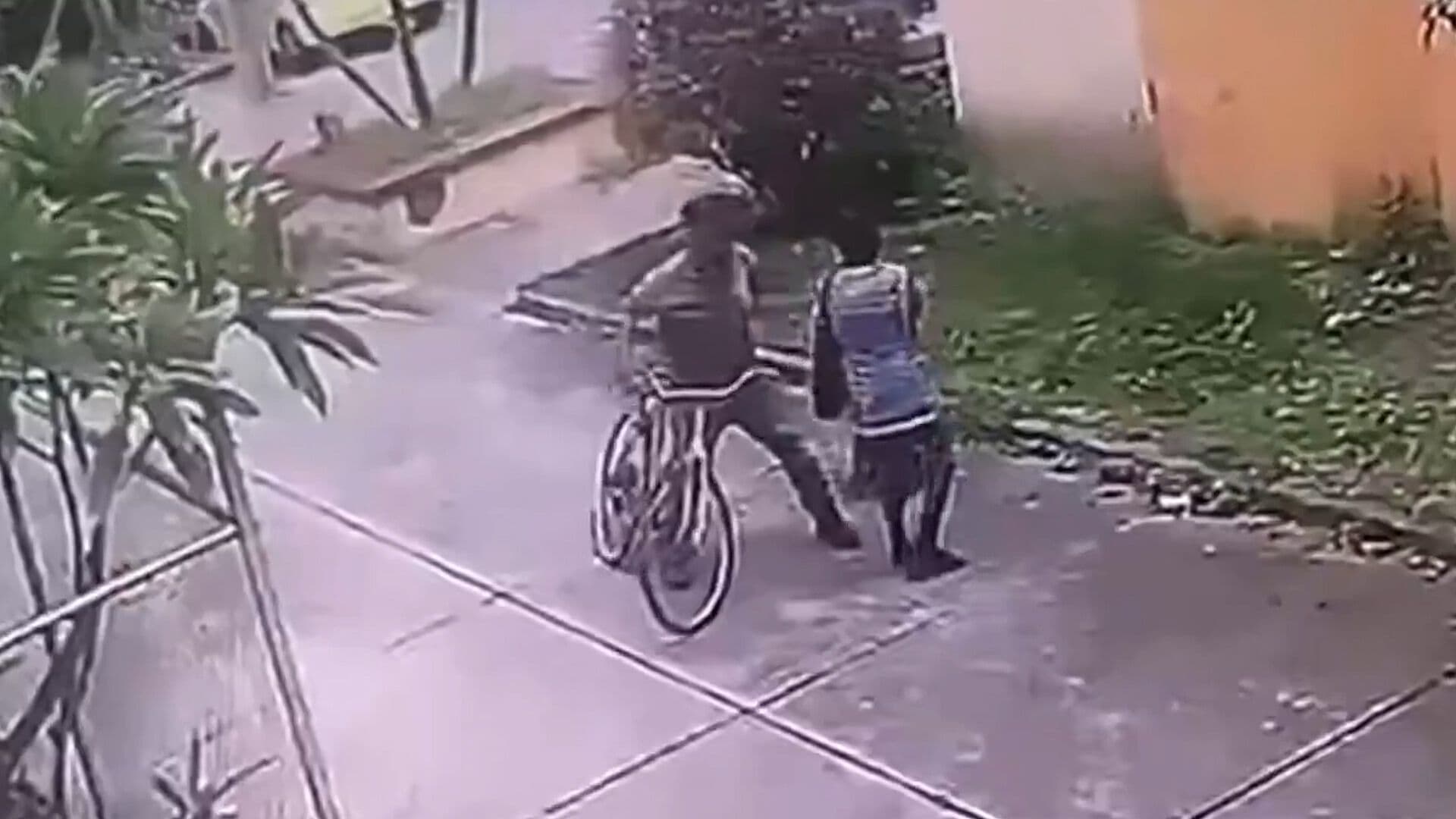 Asaltante Tira al Suelo a Adulta Mayor