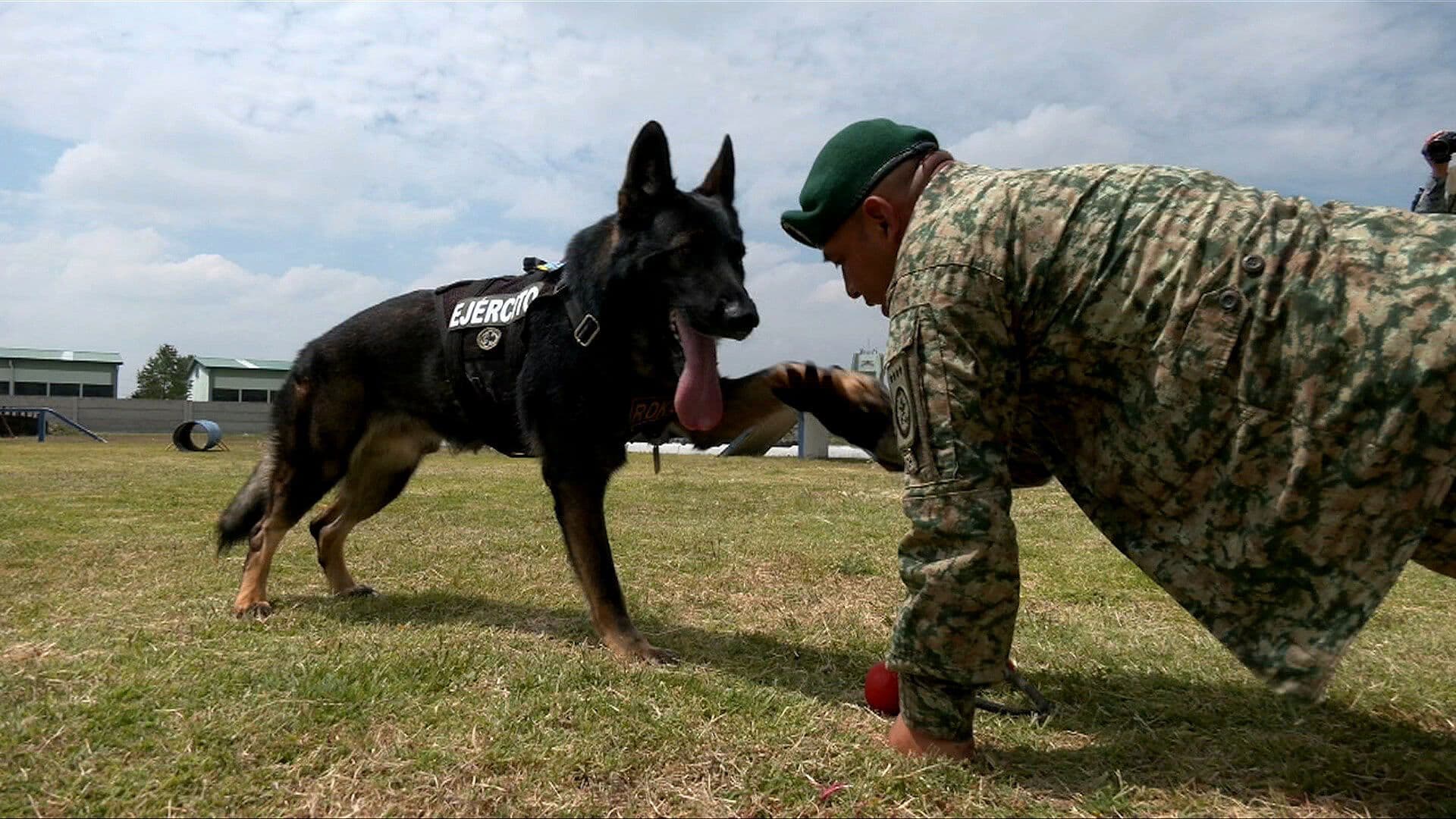 Binomio Canino Forma Parte del Batallón de Atención a Emergencias de la Defensa