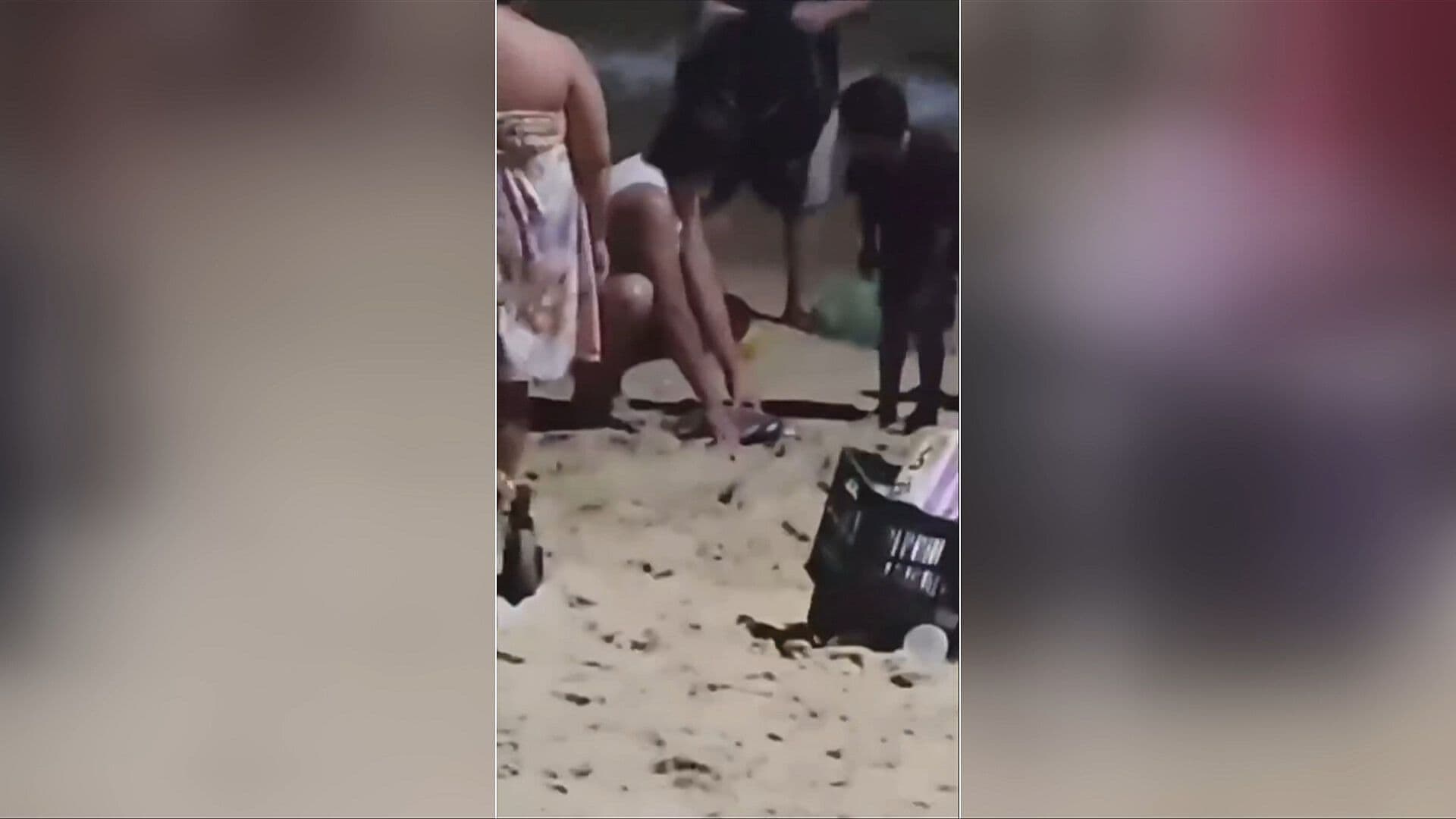 Captan a Hombre Manipulando y Enterrando Mantarrayas Vivas en Huatulco