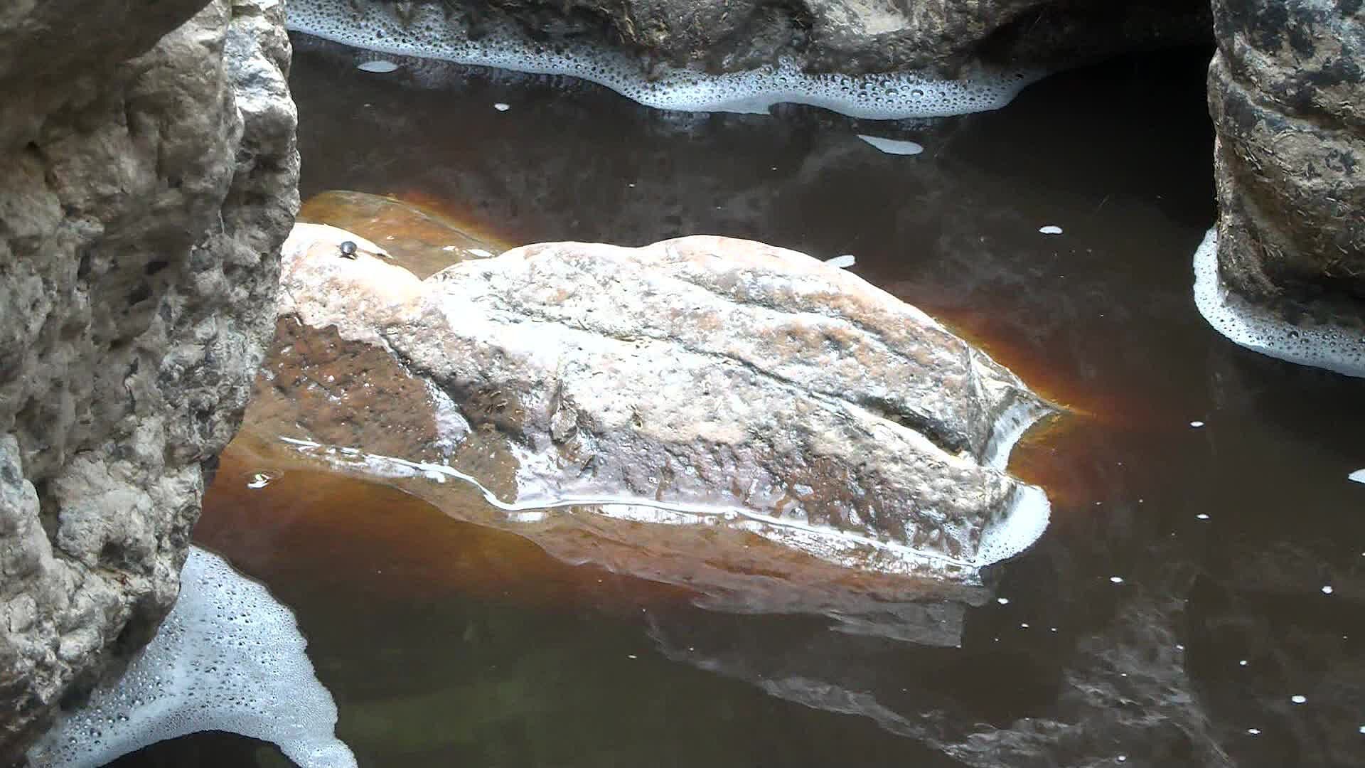 Denuncian Contaminación en Cascadas de Huaxtla, en Zapopan