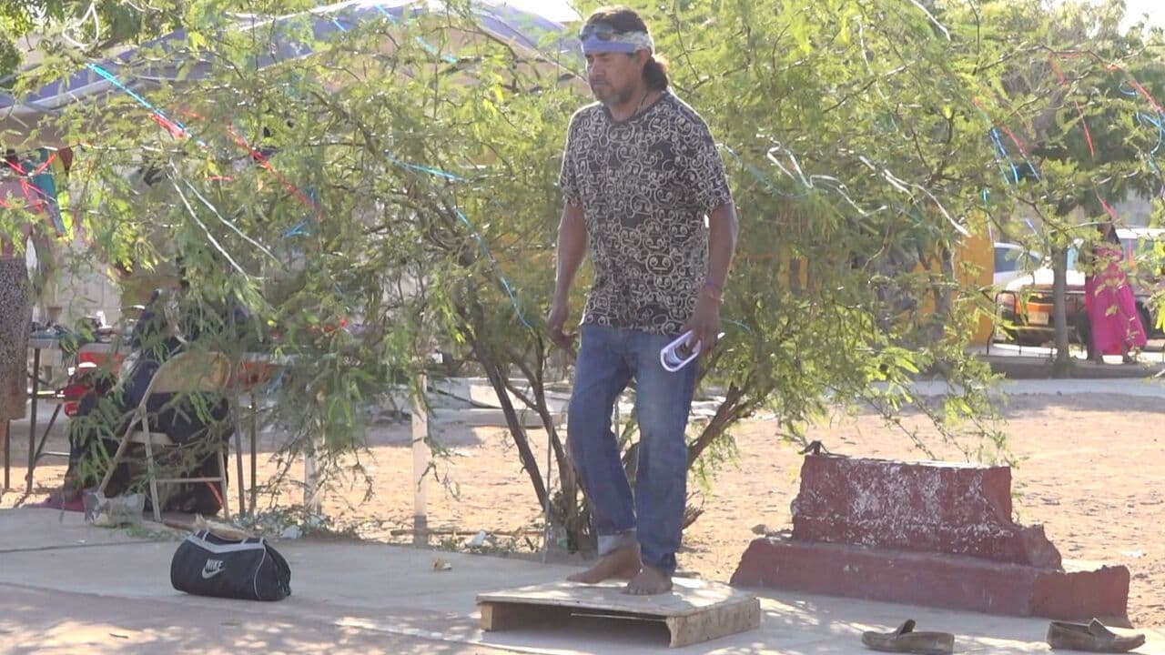 Universidad de Sonora Impartirá Talleres de Yaqui, Mixteco y Tohono O’odham
