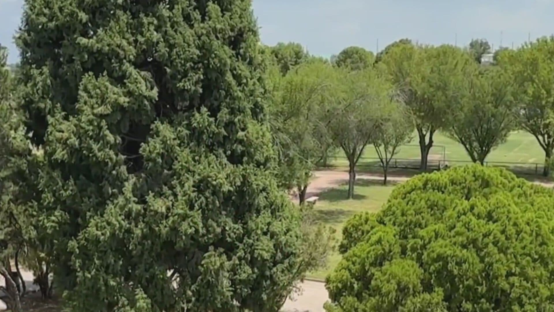 Recorrido por el Parque Xochipilli, el Pulmón Verde de Coahuila