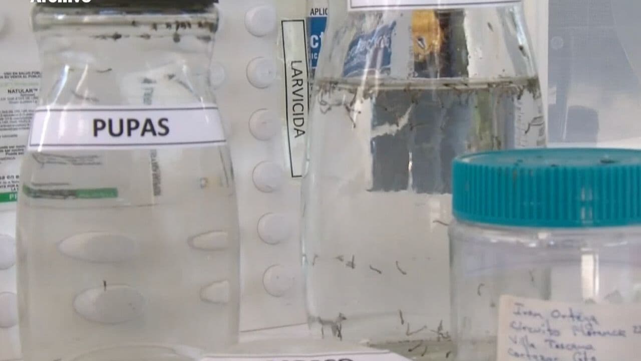 Sonora Suma Mil 270 Casos de Dengue y Cinco Defunciones