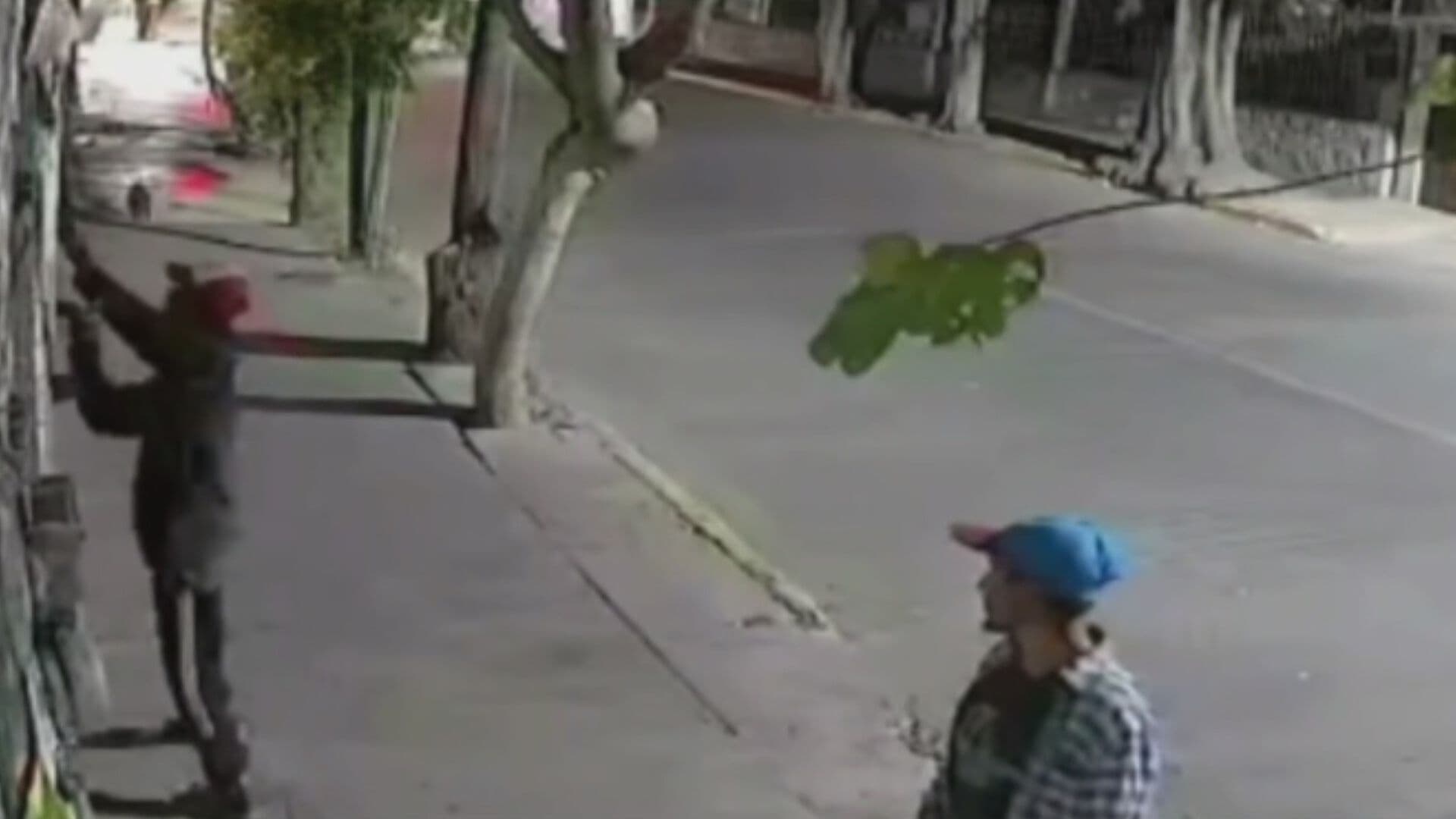 Ladrón Finge Acariciar Perro y Roba Cable en Segundos en Tehuacán Puebla