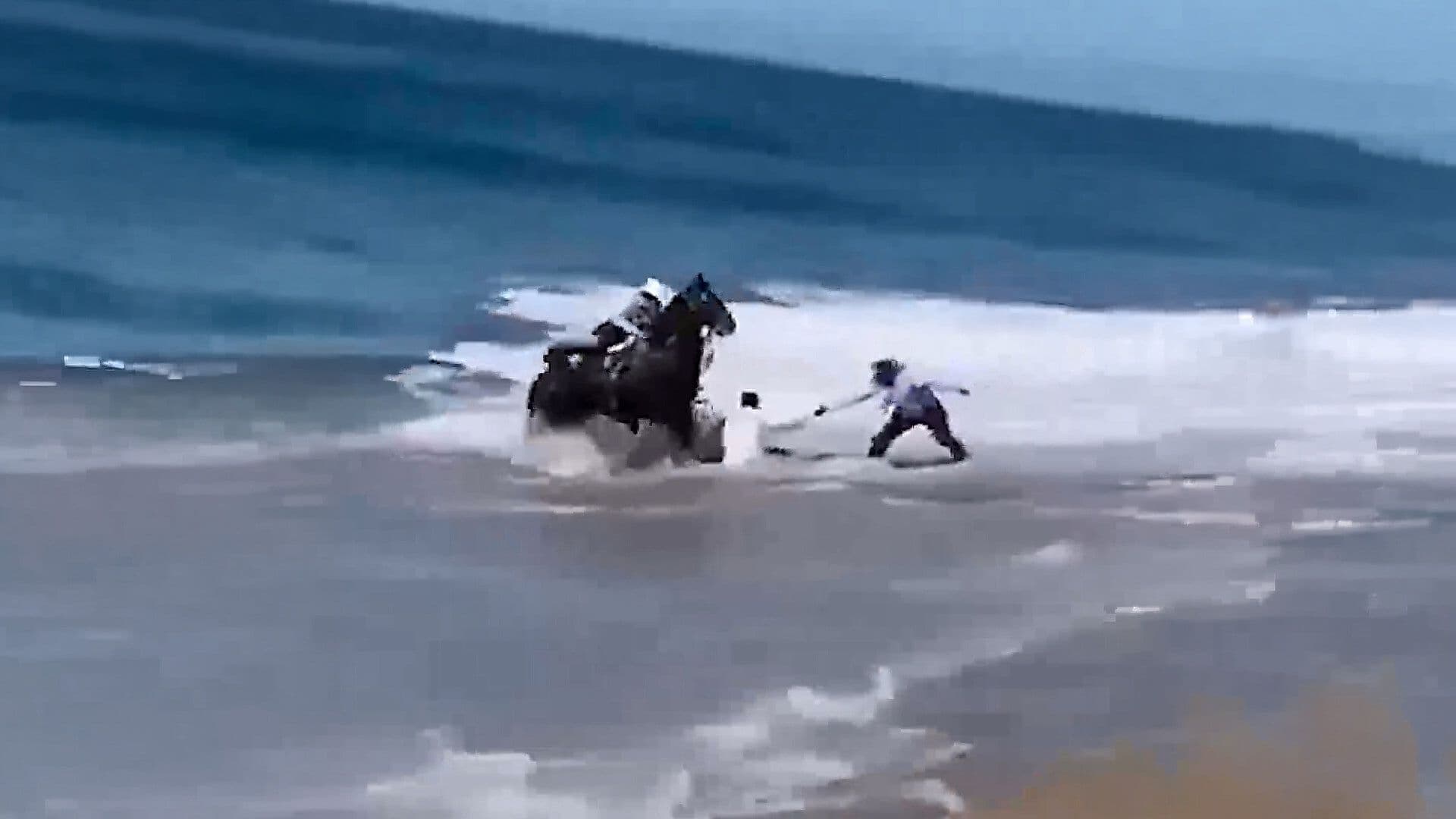 Oleaje Arrastra a Jinetes y Caballos en Puerto Vallarta