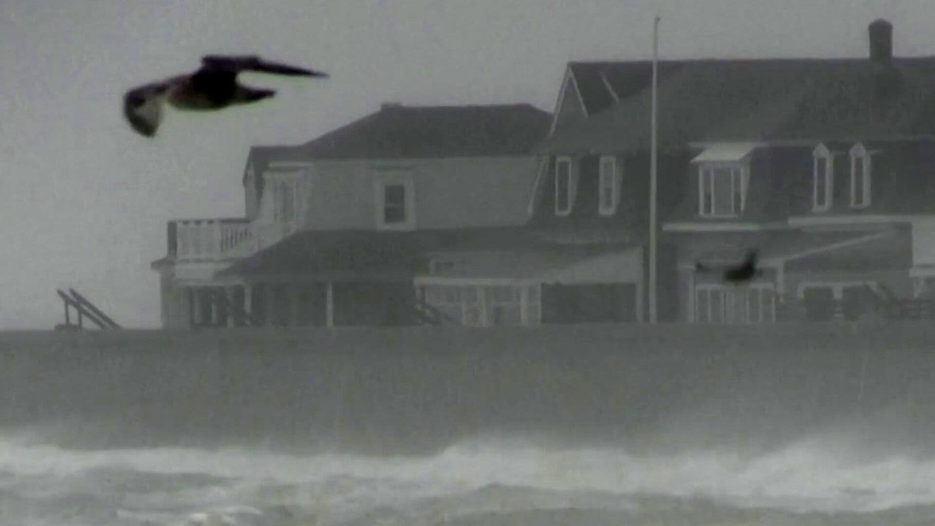 Tormenta Inundó Nueva Jersey y Nueva York; Habitantes Usaron Kayaks en las Calles