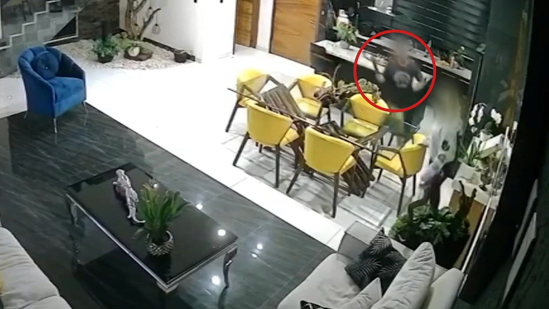 Mujer Denuncia a su Padre por Presunto Intento de Feminicidio en Guadalajara