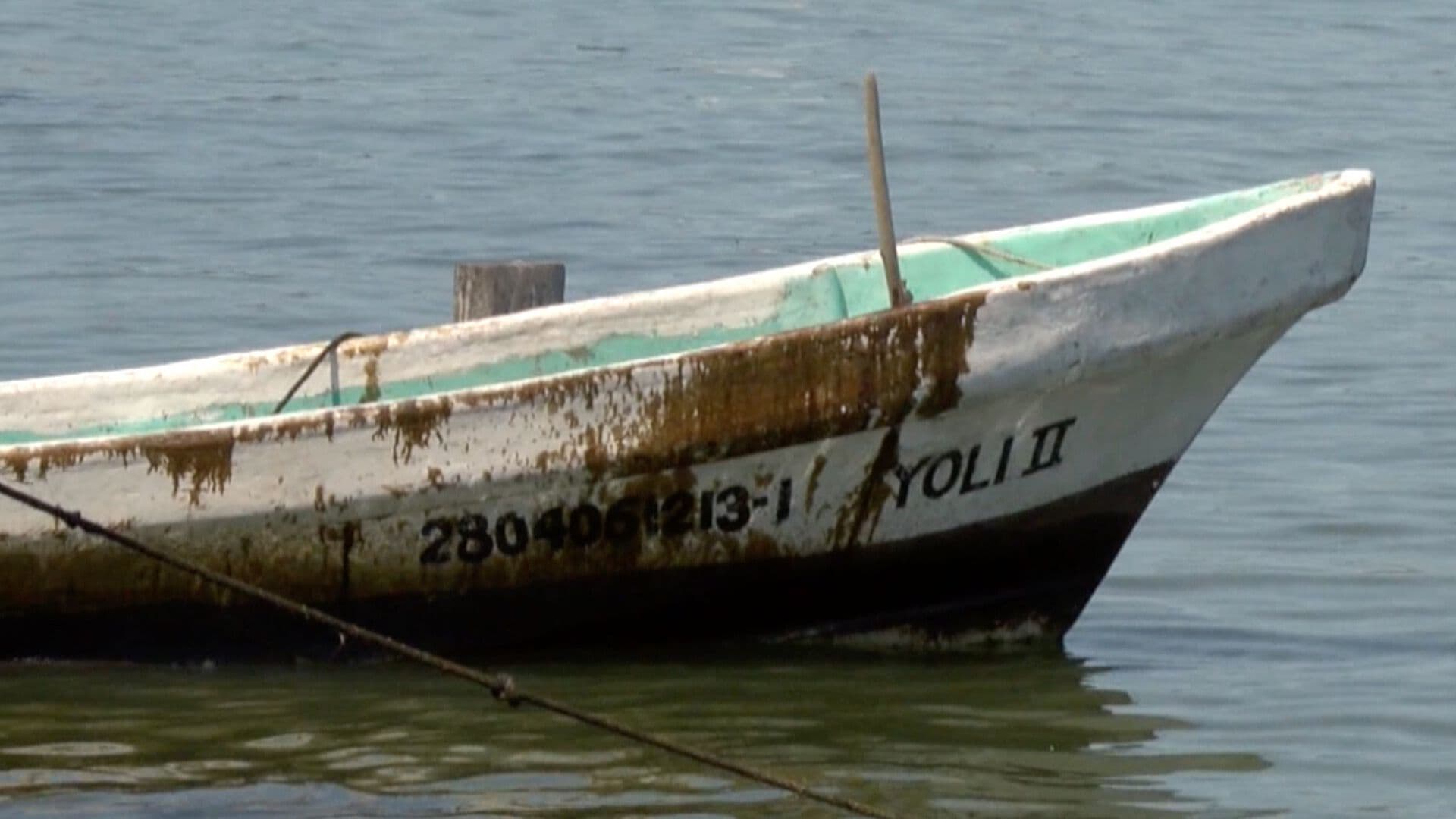 Río Pánuco se Tiñe de Negro; Pescadores Denuncian Afectaciones por Hidrocarburo