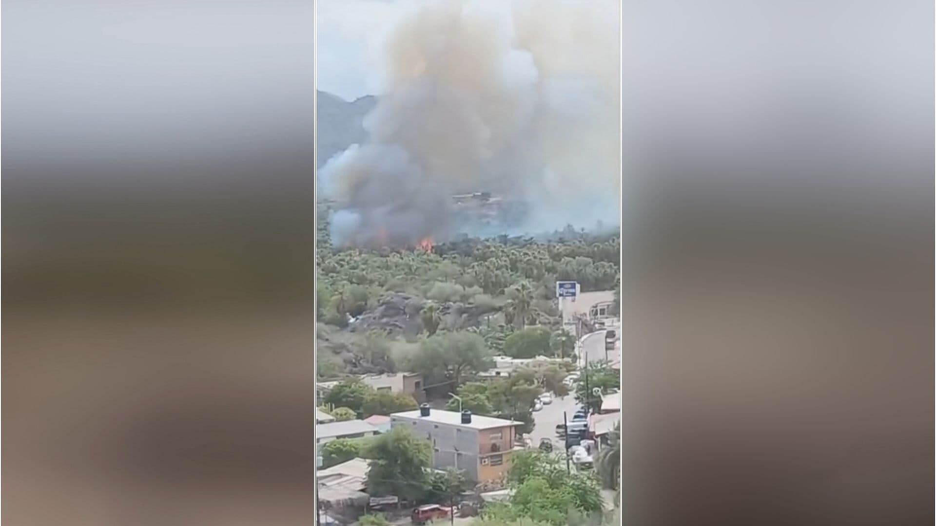 Reportan Fuerte Incendio en Palmares de Mulegé, en Baja California Sur