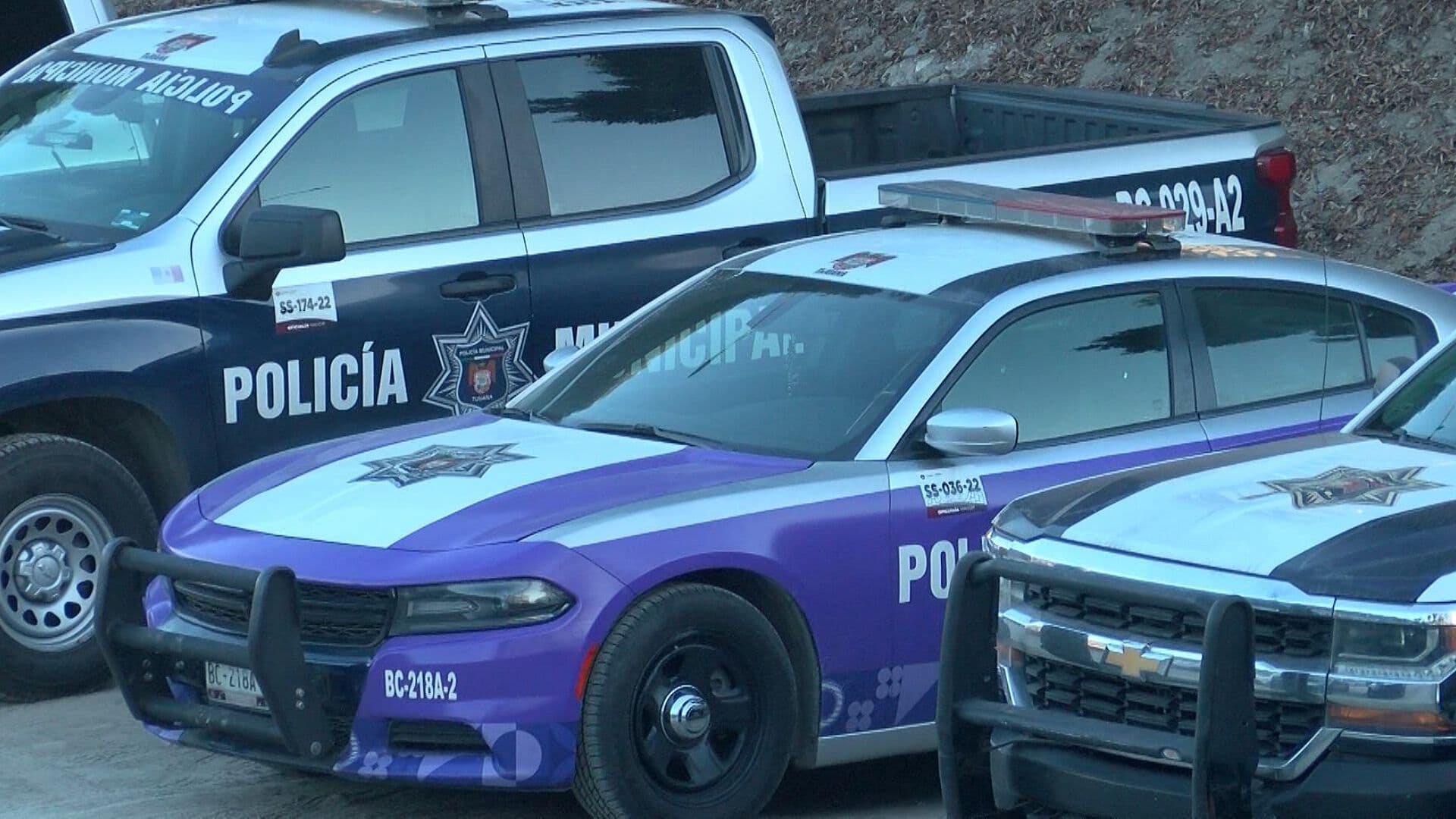 Escuadrón Violeta Atiende Más de 5 Mil Víctimas de Violencia de Género en BC