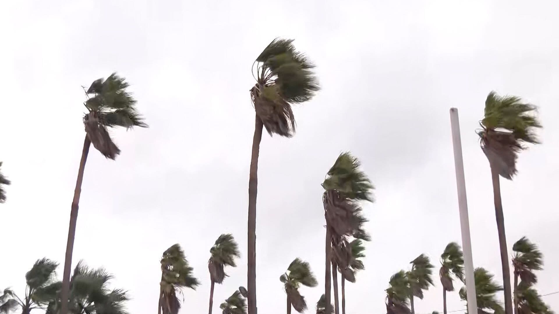 Así Amaneció Baja California Sur tras Paso de Huracán Polo