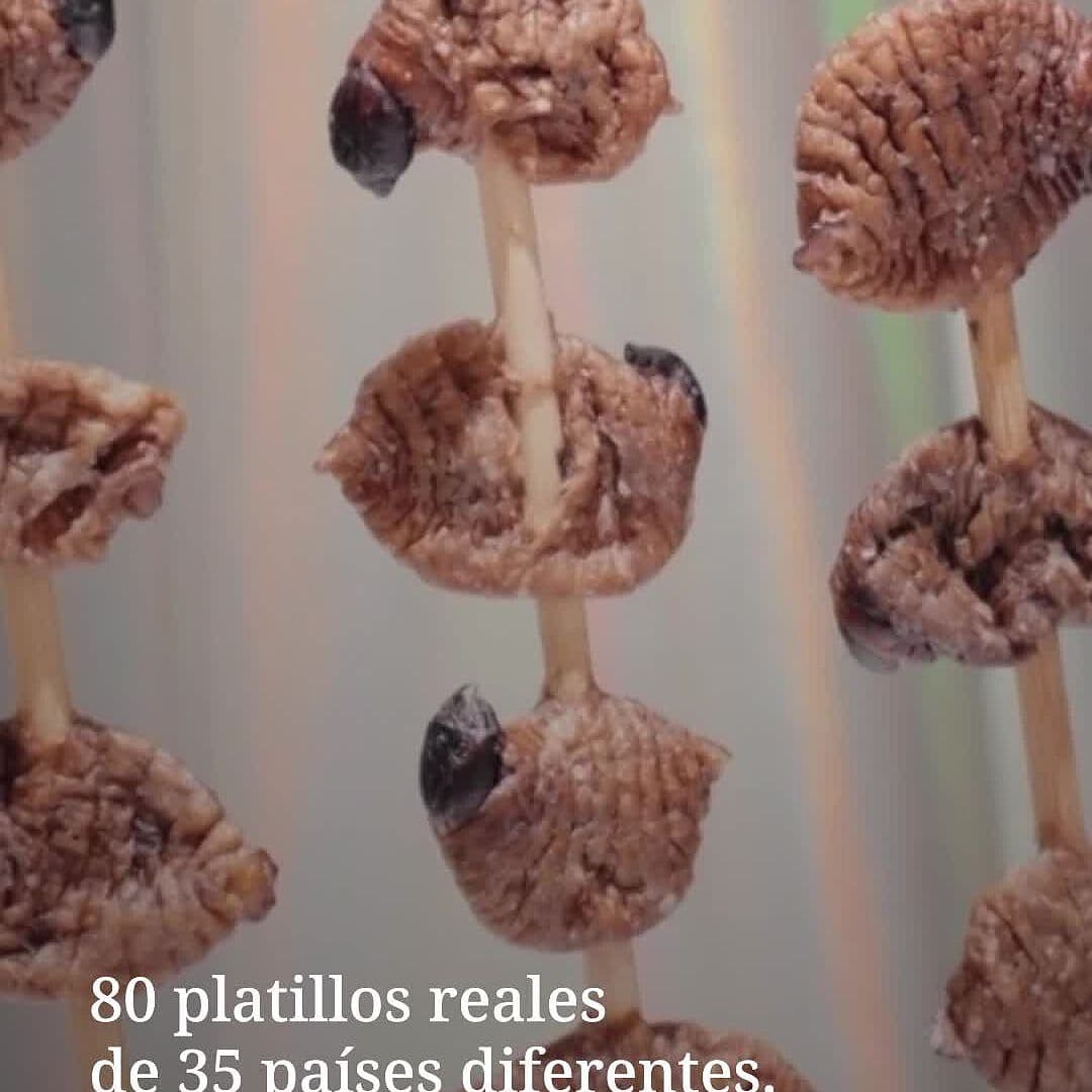 Conoce el Museo de la Comida Repugnante