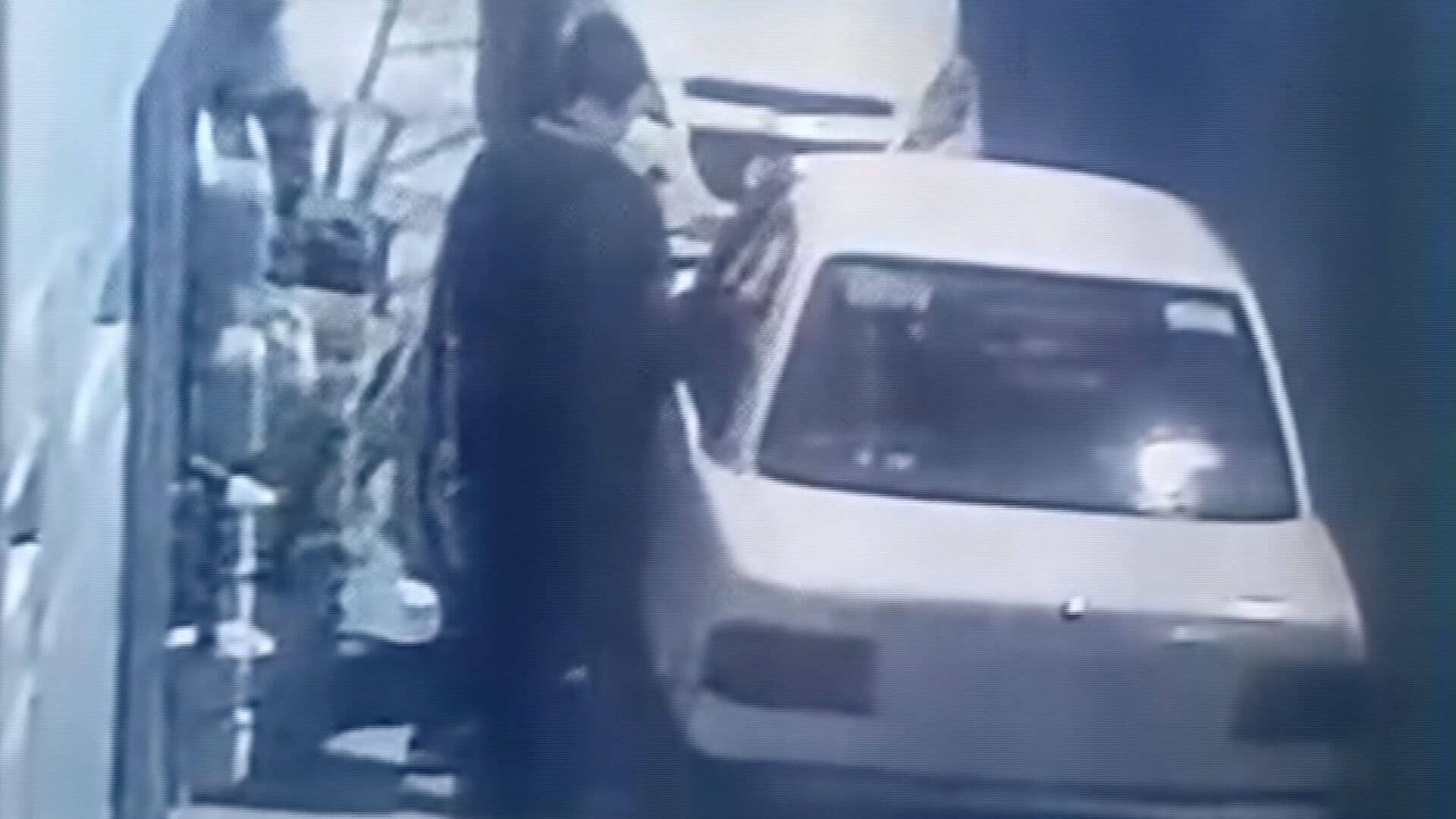 Video Momento Robo Tsuru Blanco Colonia Loma Linda Puebla