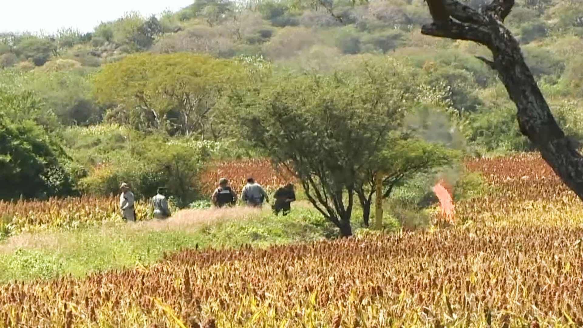 Tomas Clandestinas de Huachicol Afectan el Medio Ambiente en Guanajuato