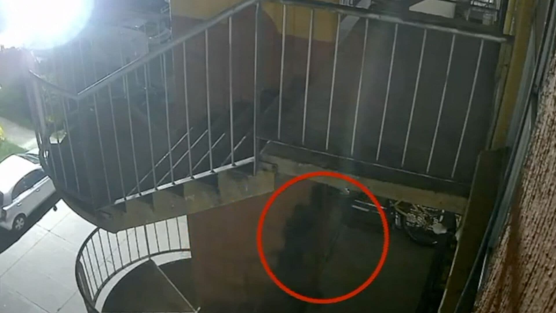 Video Ladrón Robo Bicicleta Segundo Piso Misiones de San Francisco Coronango Puebla