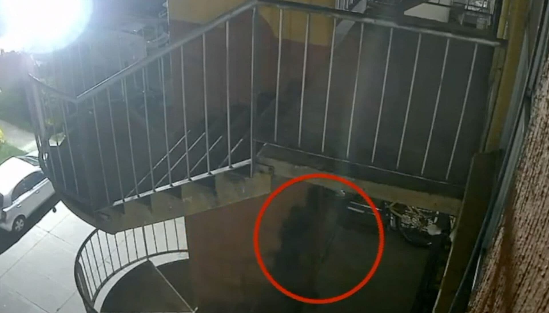 Video: Sujeto Roba Bicicleta que Estaba en un Segundo Piso en Coronango, Puebla