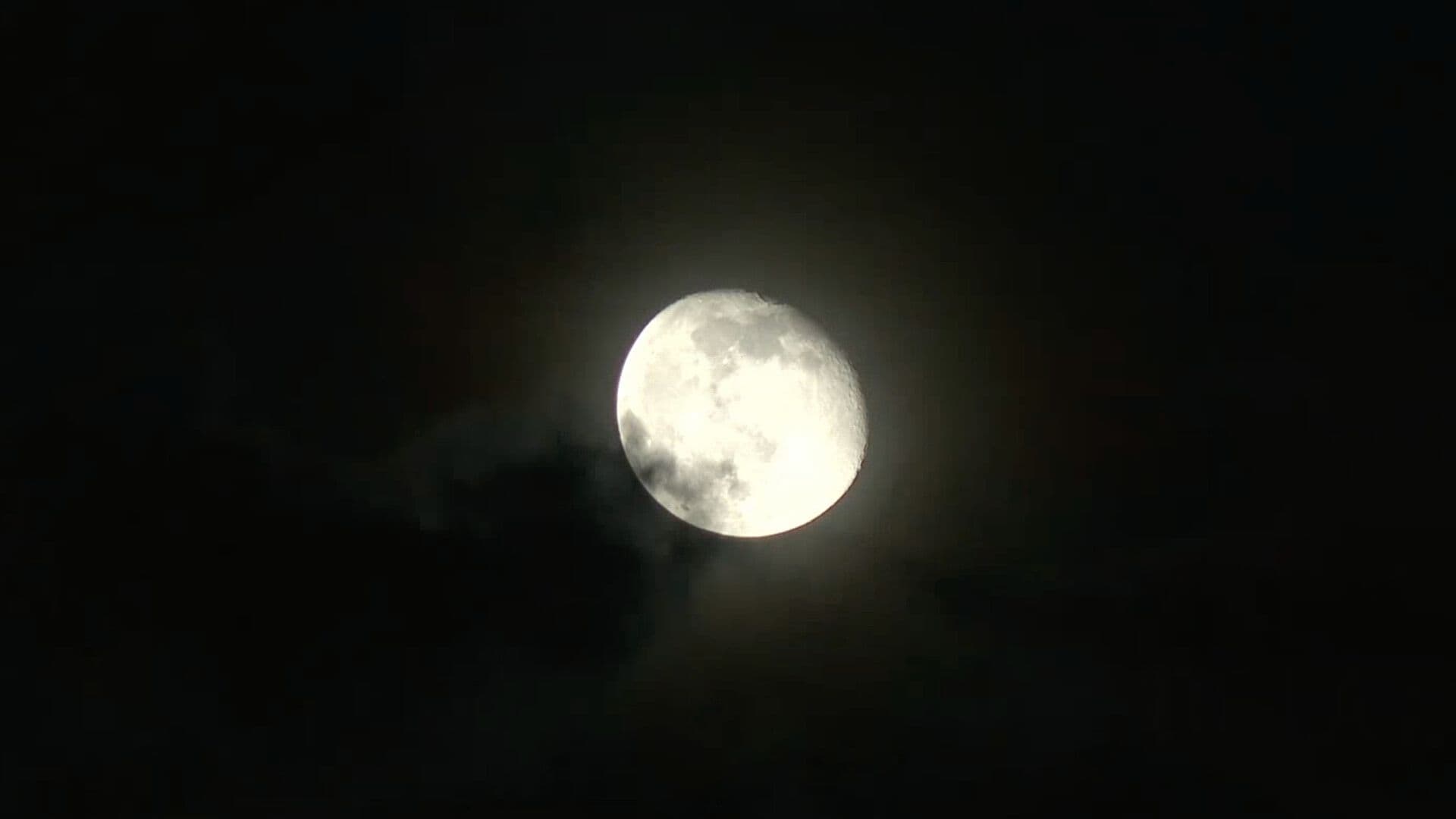 Comunidad China en Veracruz Celebran el Festival de Medio Otoño o Festival de la Luna
