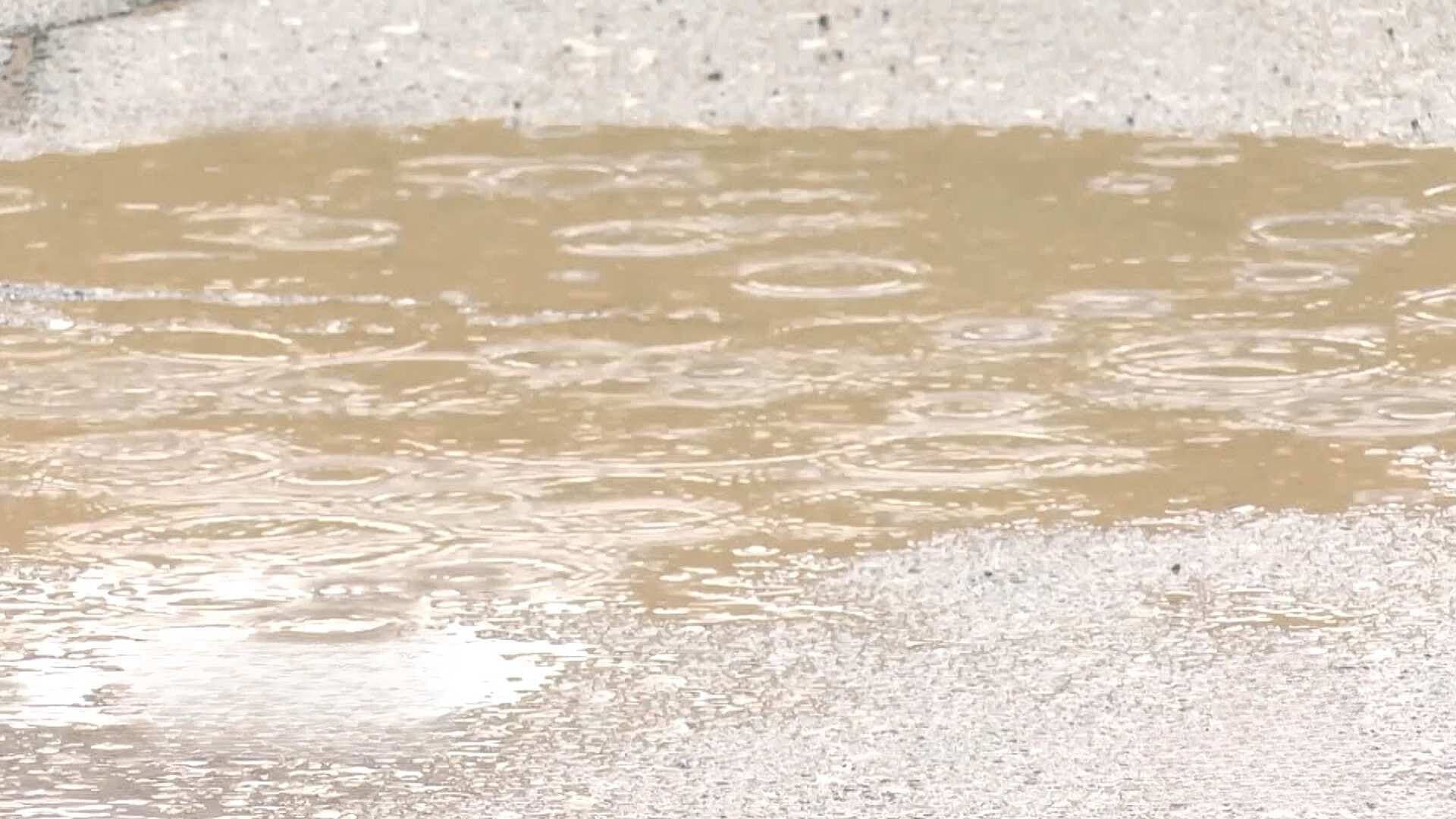 Emiten Recomendaciones Para Prevenir el Dengue en Chihuahua