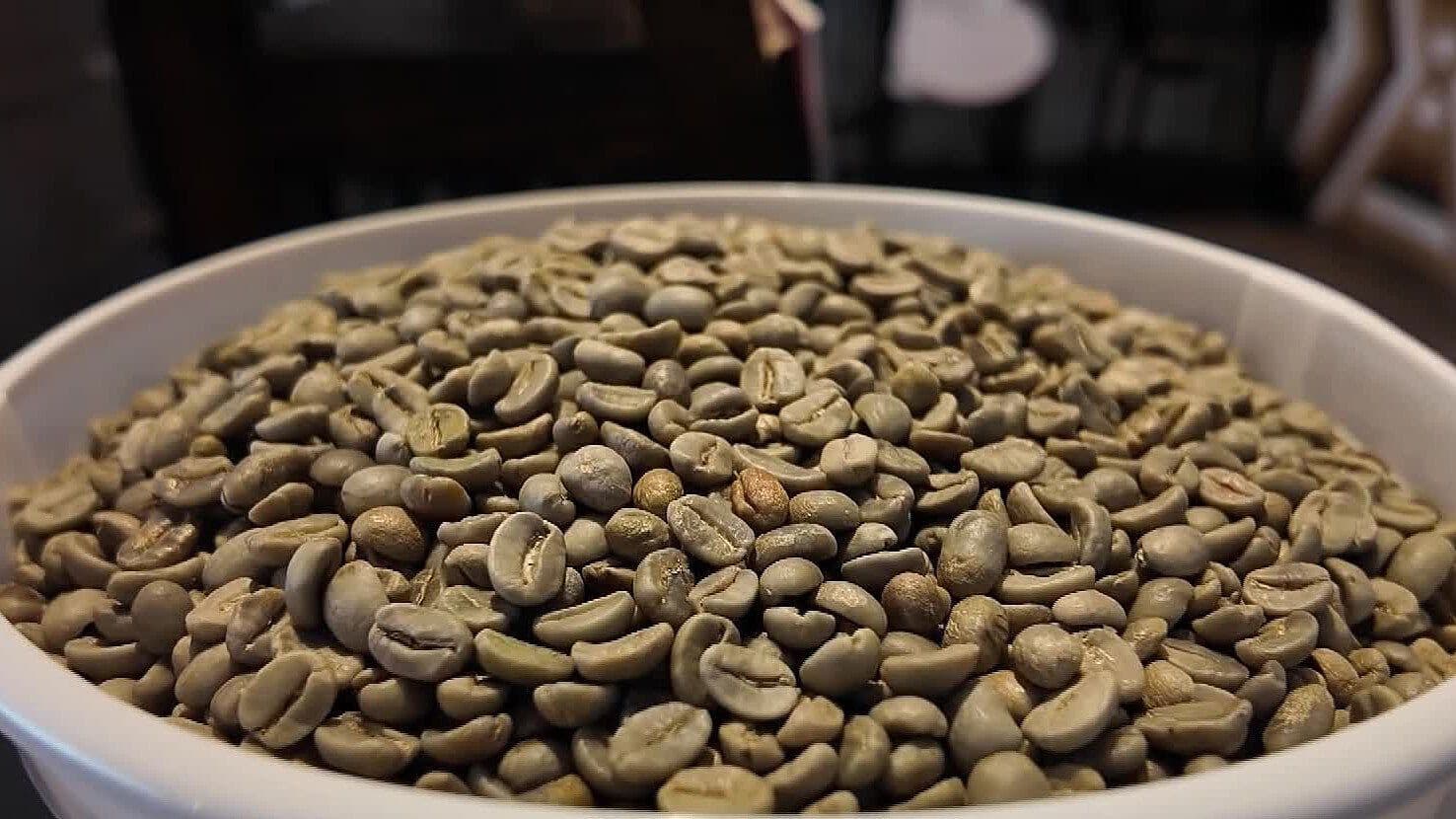 Así se Produce y Prepara el Café que Llega a las Tazas, Según Barista Jalisciense