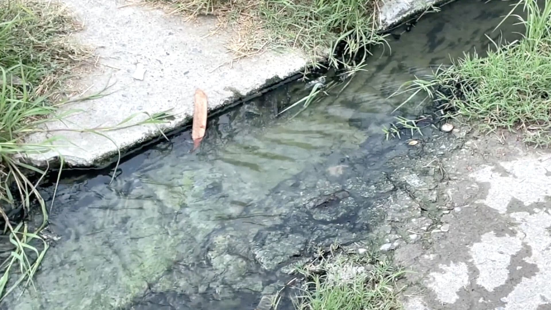 Más de Dos Meses con Aguas Negras; Vecinos Exigen Solución en Matamoros