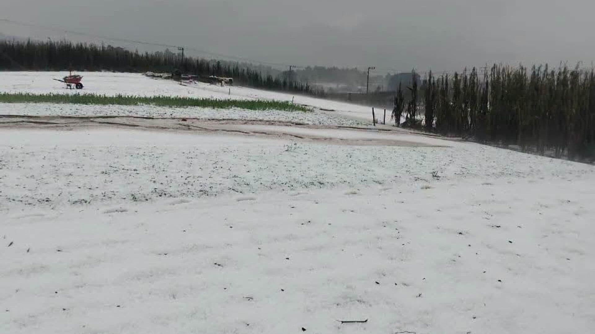 Intensa Granizada Cubre de Blanco a San Cristóbal de las Casas, Chiapas