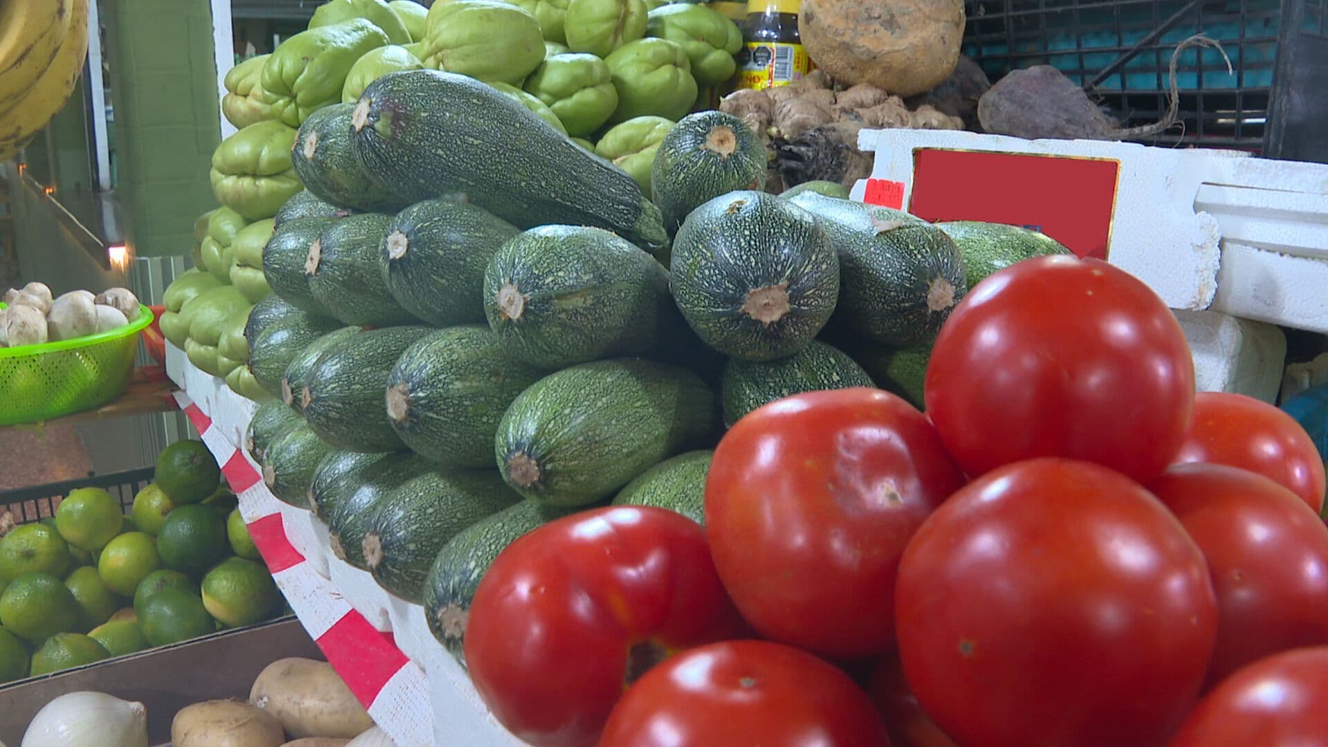 Nutriólogo Veracruzano Explica los Pros y Contras de Ser Vegetariano