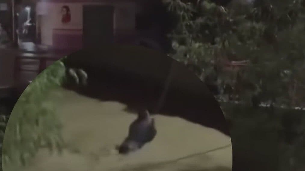 Rescatan Vecinos a Hombre Atrapado en Arroyo en García