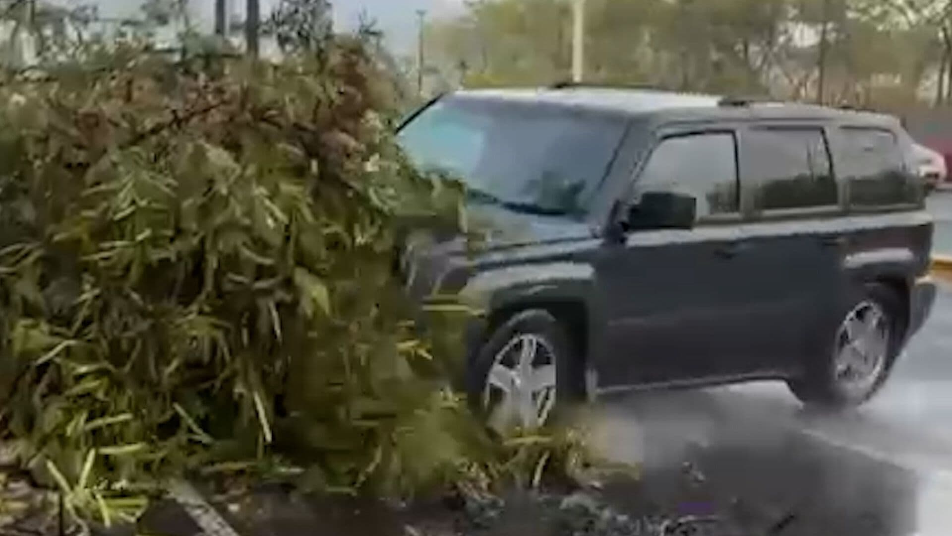 Una Camioneta Atropella a Reportera y Camarógrafo en Transmisión en Vivo