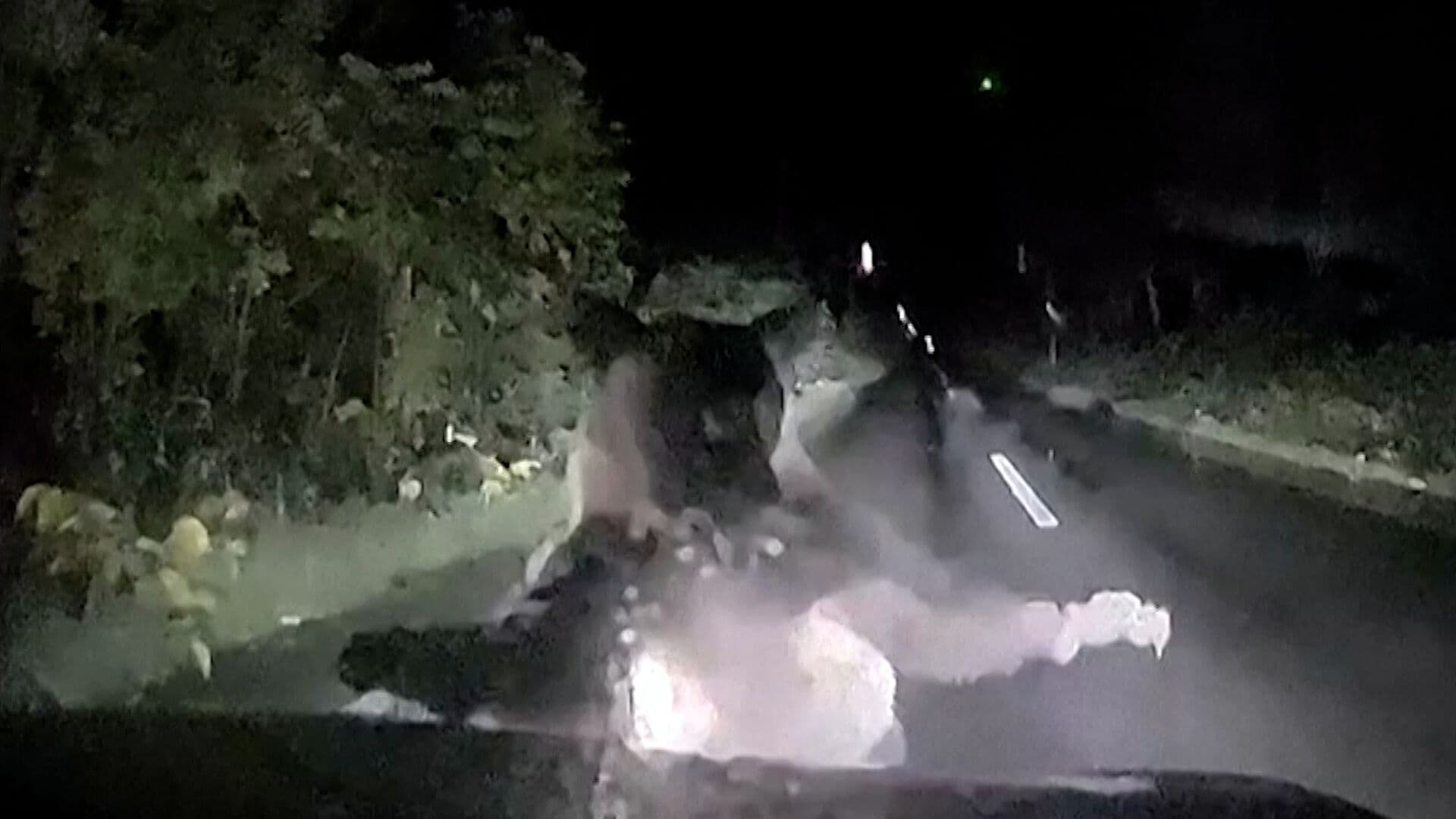 Mamá Oso Ataca una Camioneta en Japón